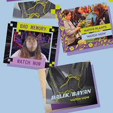 Experiment 2: Leveraging Digital Ads & Youth Creators for Short Films