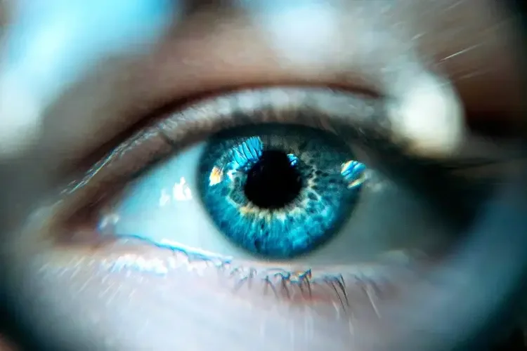 EMDR Therapy