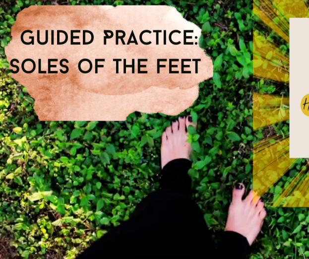 Soles of the feet thumbnail (Facebook Post).png