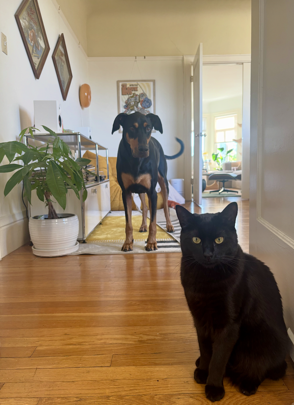 Screenshot 2026-03-01 at 2.06.19 AM.png