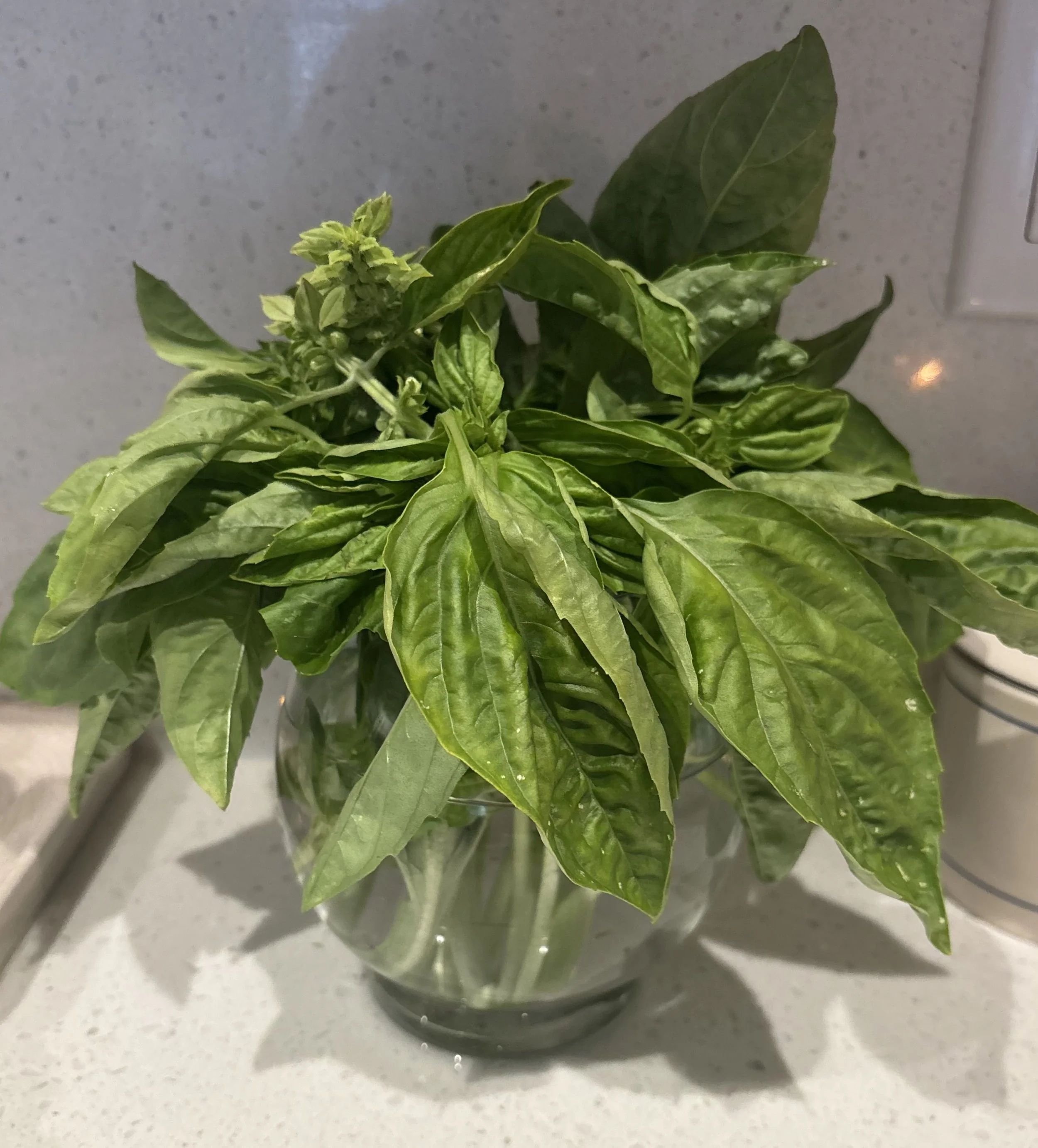 guide: how to properly store produce