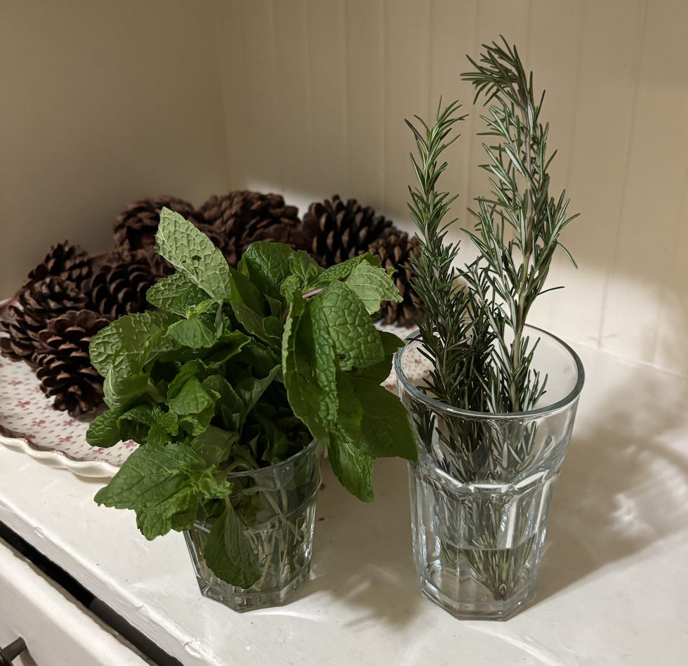 Screenshot 2025-12-21 at 2.06.44 AM.png