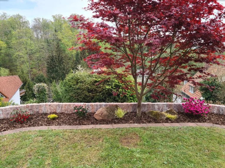 Garten mit rotem Ahornbaum, buntem Strauch, Gemüsepflanzen, Steinmauer und Wiese. Hintergrund mit weiteren Bäumen und Häusern.