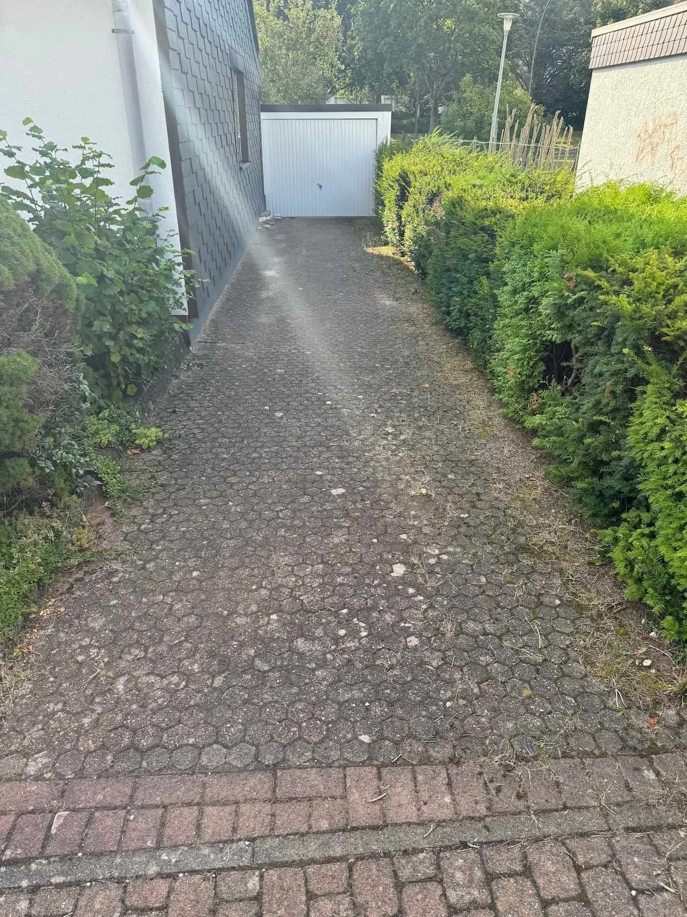 Ein gepflasterter Weg neben einem Haus mit Nebengebäude, umgeben von grünem Gebüsch und Bäumen.