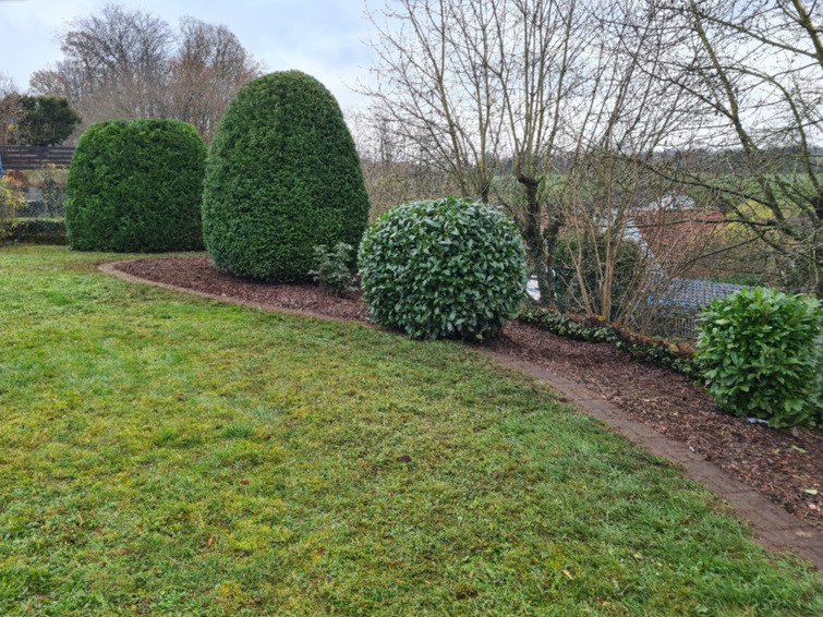 Gepflegte Gartengestaltung mit grünem Rasen, aufgeschichteten Ziersträuchern und einem Kiesweg, umgeben von Bäumen und Hecken