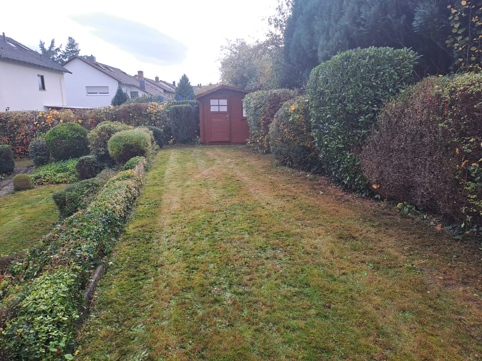 Garten mit gepflegtem Rasen, vielfältigen Büschen und Hecken, Gartenhaus aus Holz am Ende des Gartens, benachbarte Häuser im Hintergrund, bewölkter Himmel