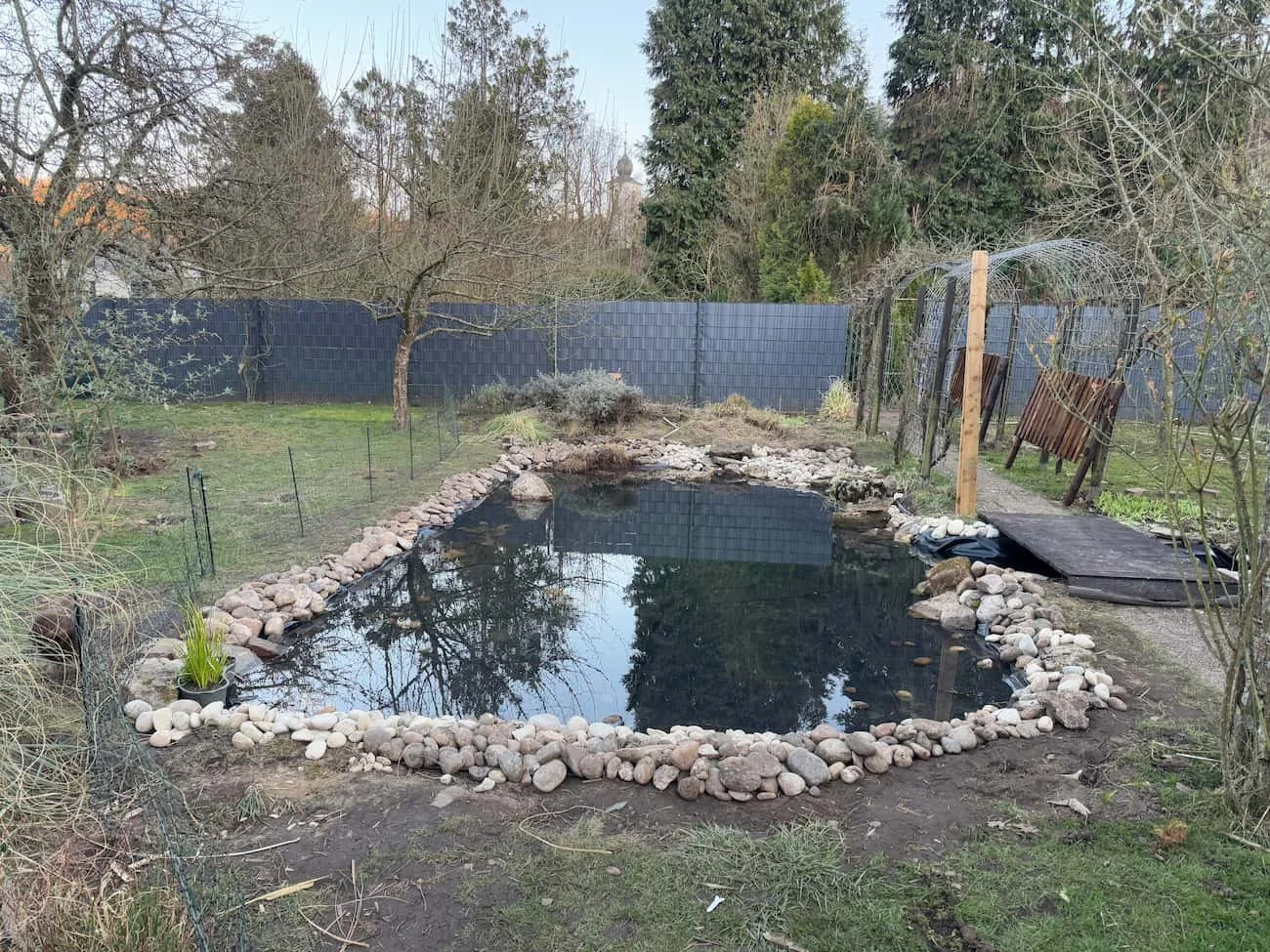 Ein Garten mit einem kleinen, rechteckigen Teich, der von Steinen umgeben ist. Im Hintergrund sind Bäume, ein blauer Zaun und eine Gartenlaube. Es ist Frühling oder Herbst, da die Bäume keine Blätter haben.