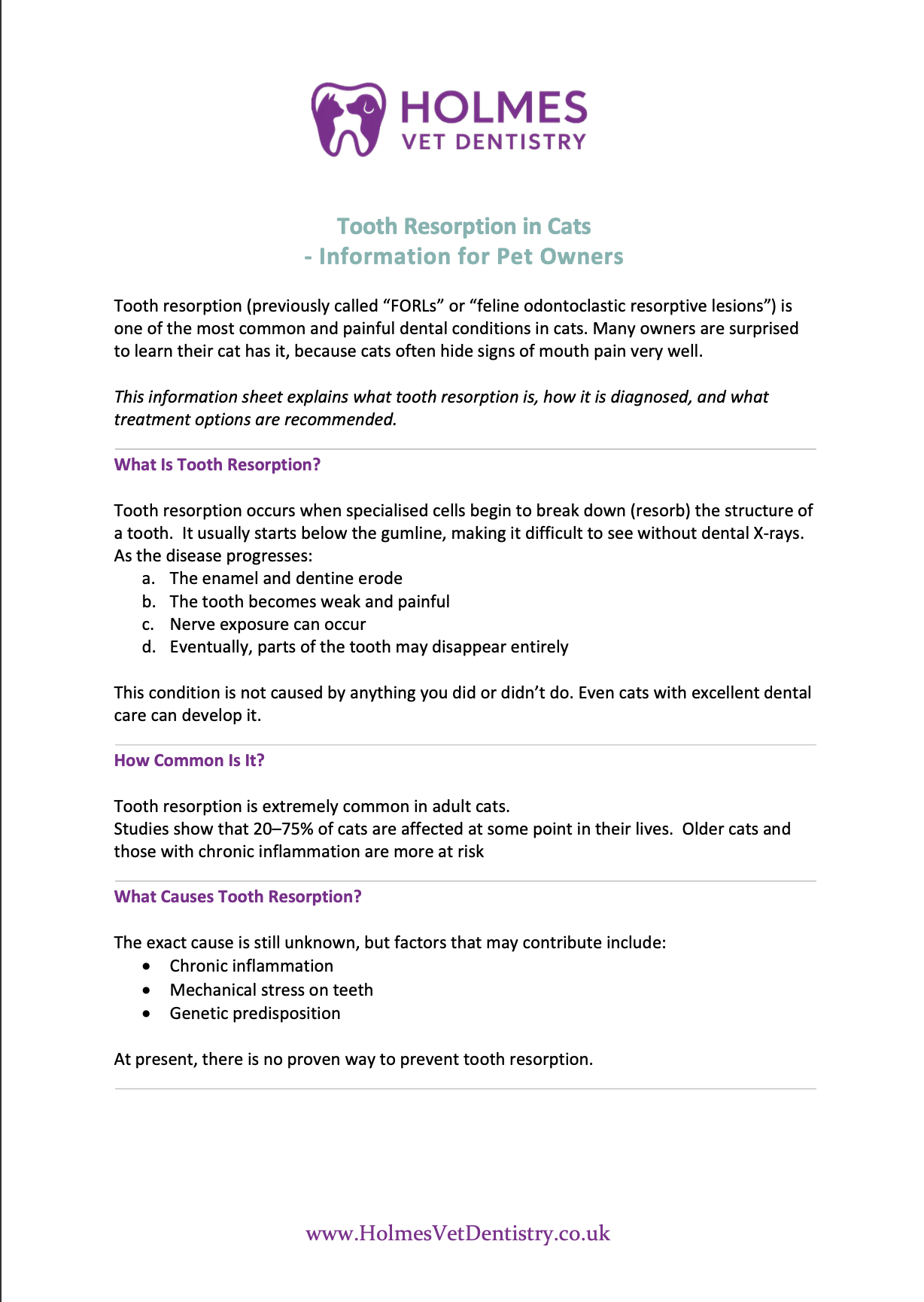 A veterinary information sheet from Holmes Vet Dentistry about tooth resorption in cats, including causes, progression, and risk factors.