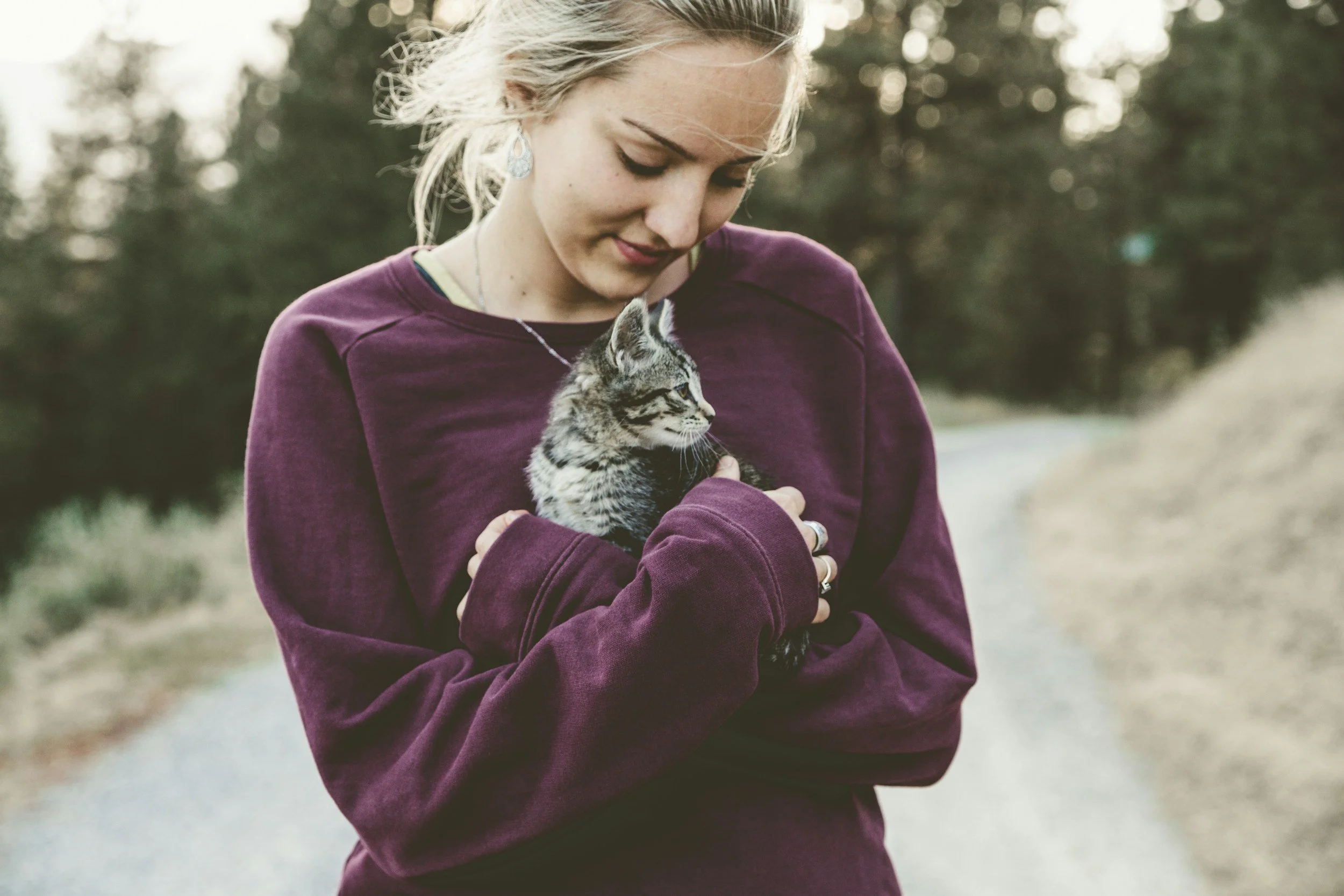 caring for my cat's teeth