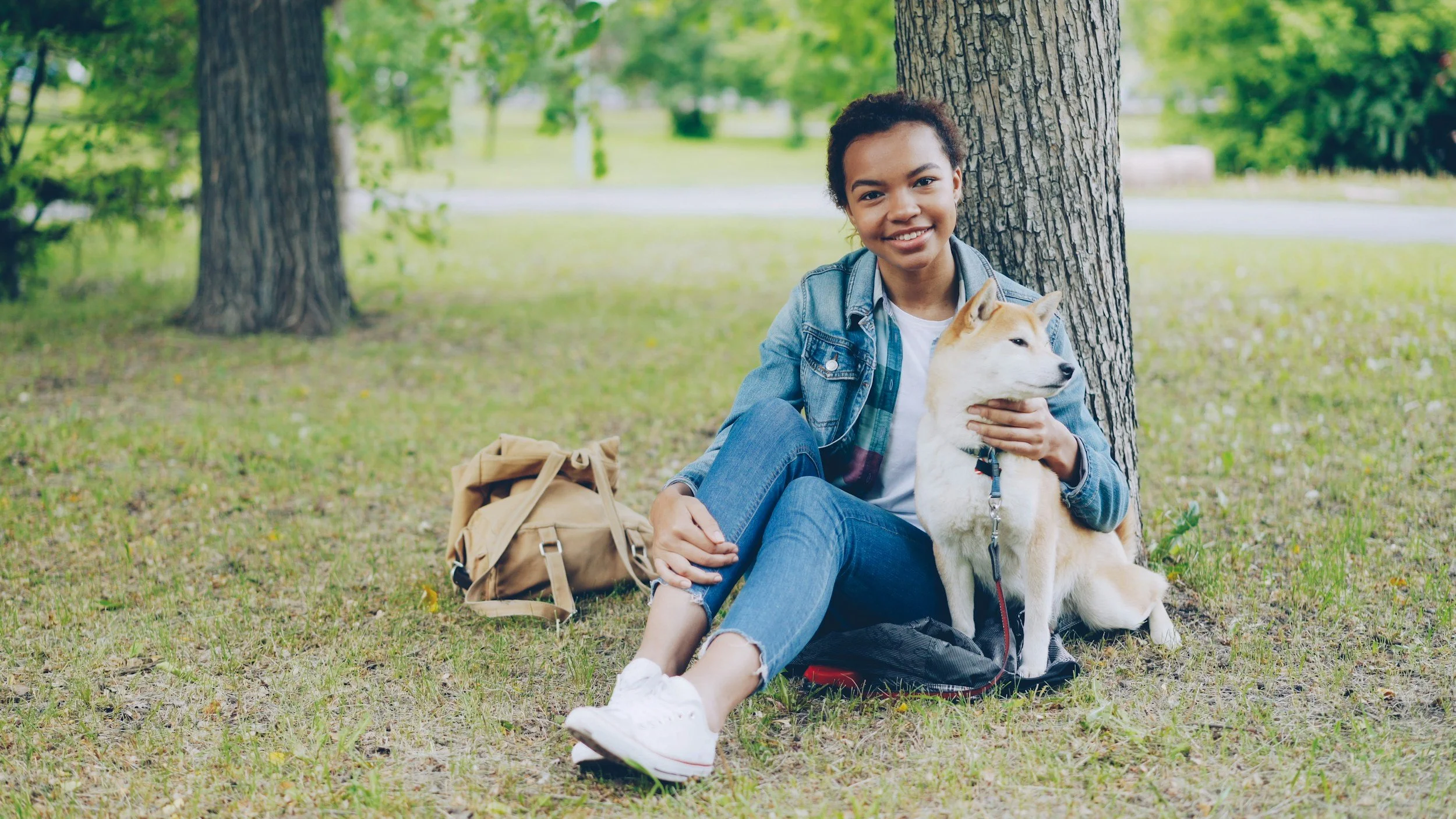 caring for my dog's teeth
