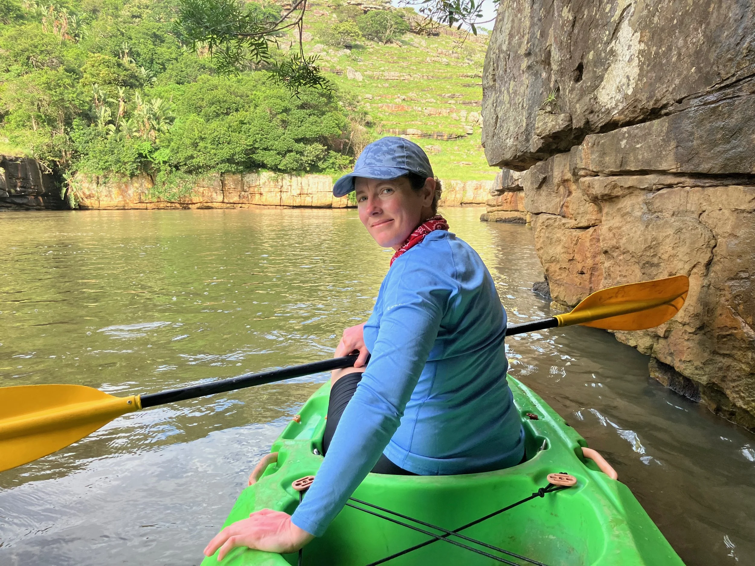 veterinary dentist for cats and dogs in South East England