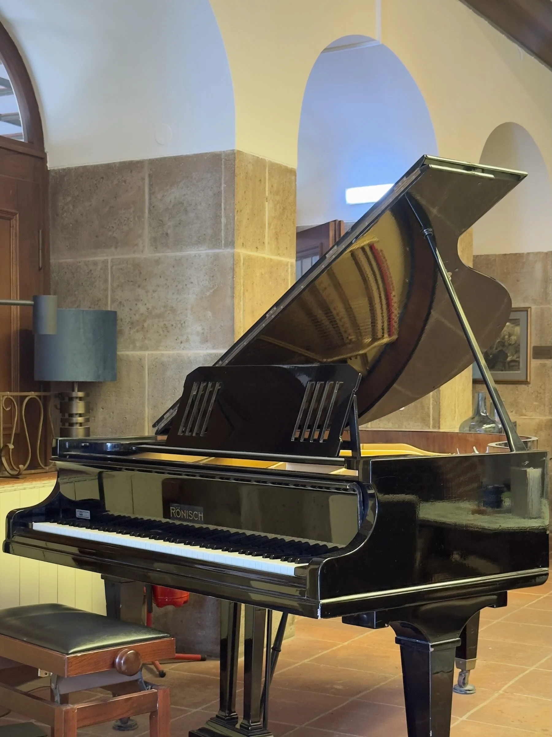 DE-Rothenburg-odT_Hotel-Eisenhut_grand-piano-spot_grand-piano_roenisch_portrait.jpg