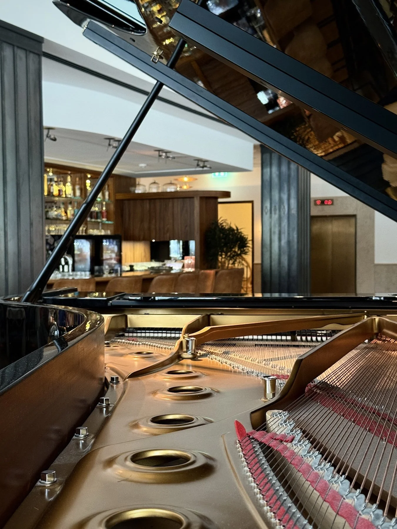 de_berlin_orania-berlin_piano-detail_grand-piano-steinway-strings_portrait.jpg