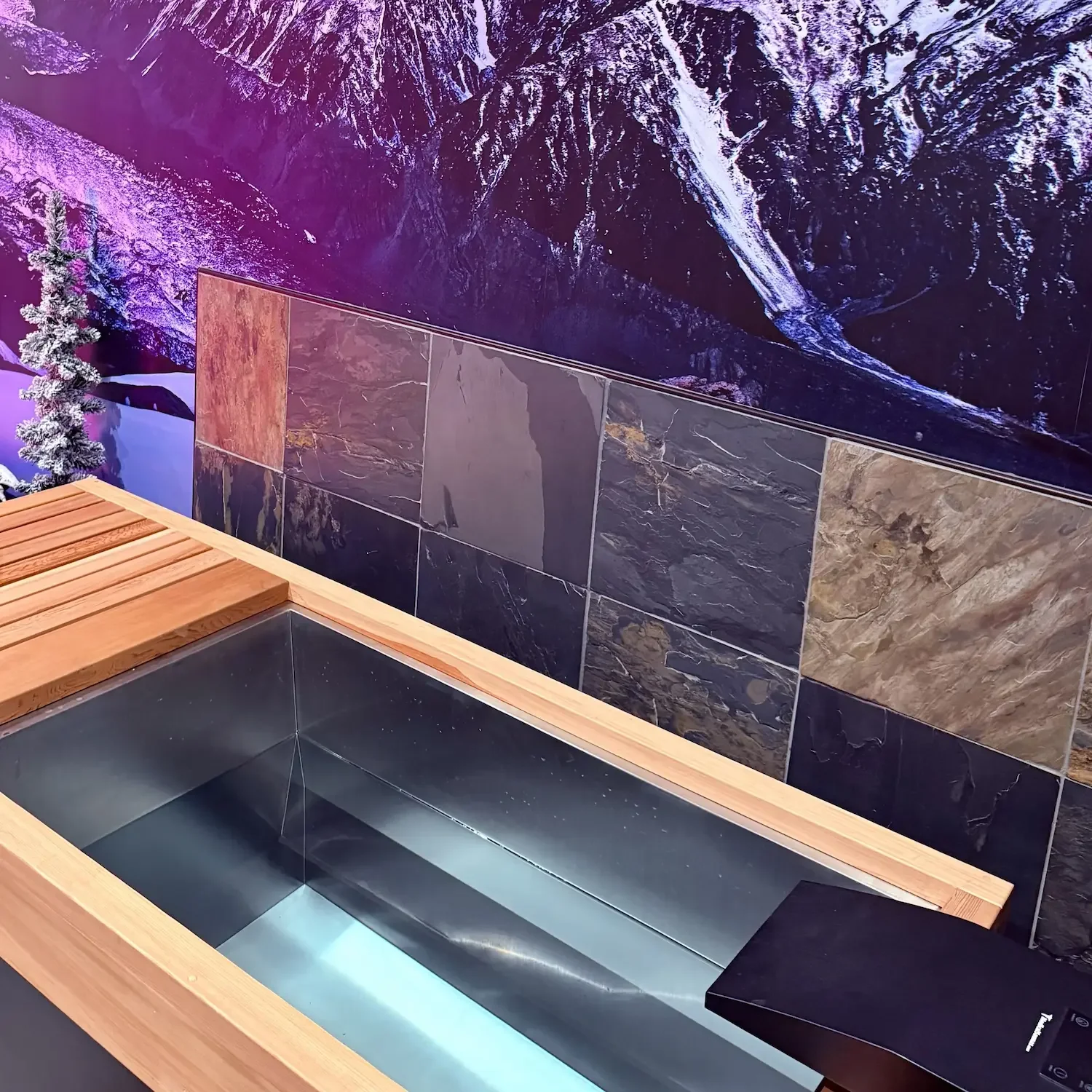 Cold plunge recovery therapy tub at The Nature of Health wellness spa in Gilbert, AZ