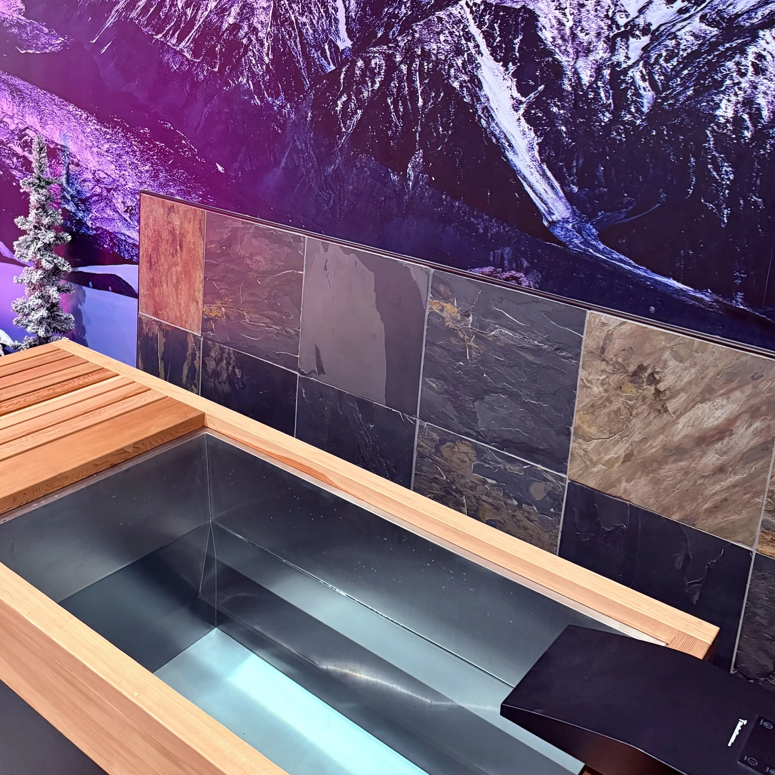 Cold plunge recovery therapy tub at The Nature of Health wellness spa in Gilbert, AZ