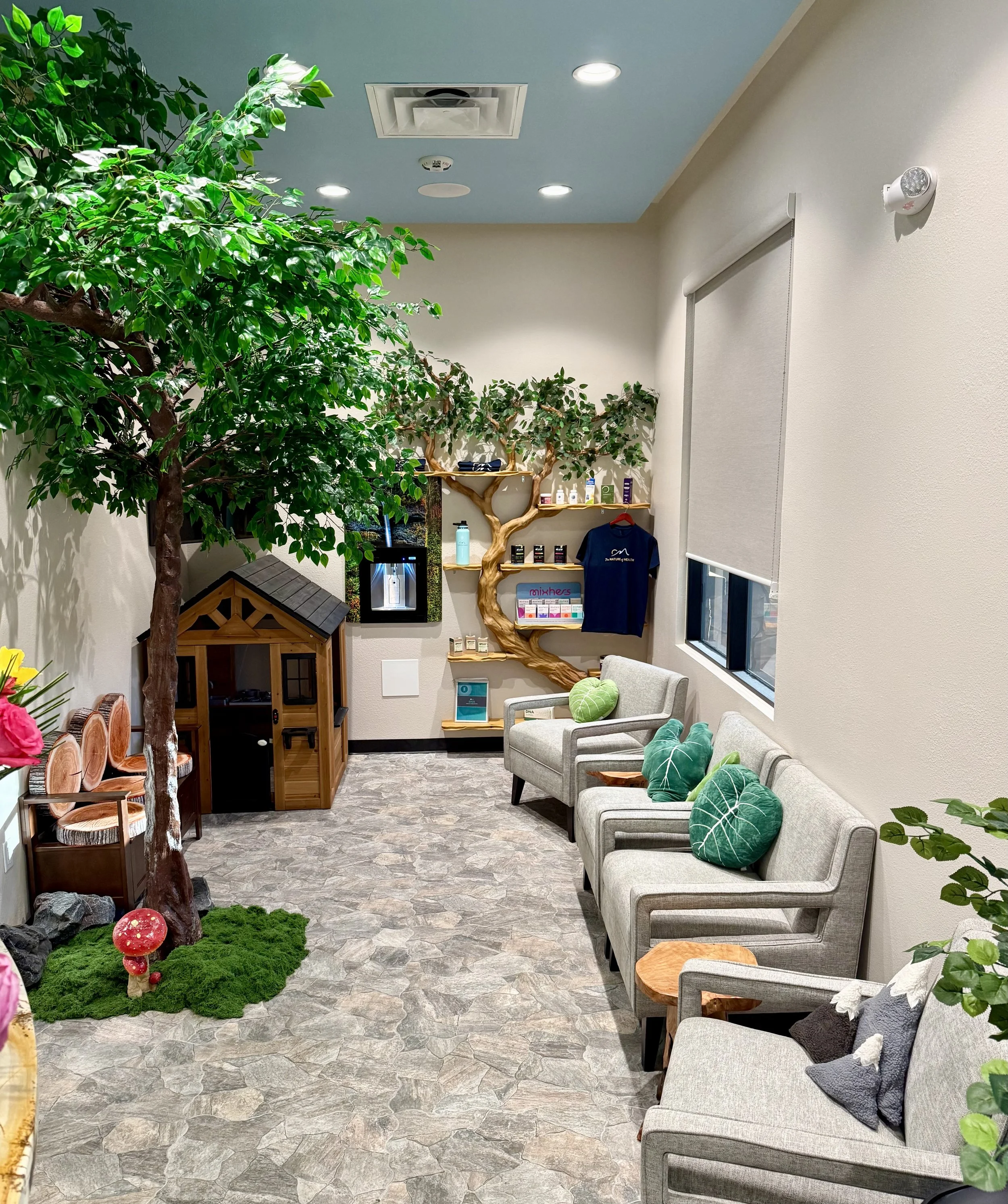 Nature-inspired welcome and seating area at The Nature of Health in Gilbert, AZ