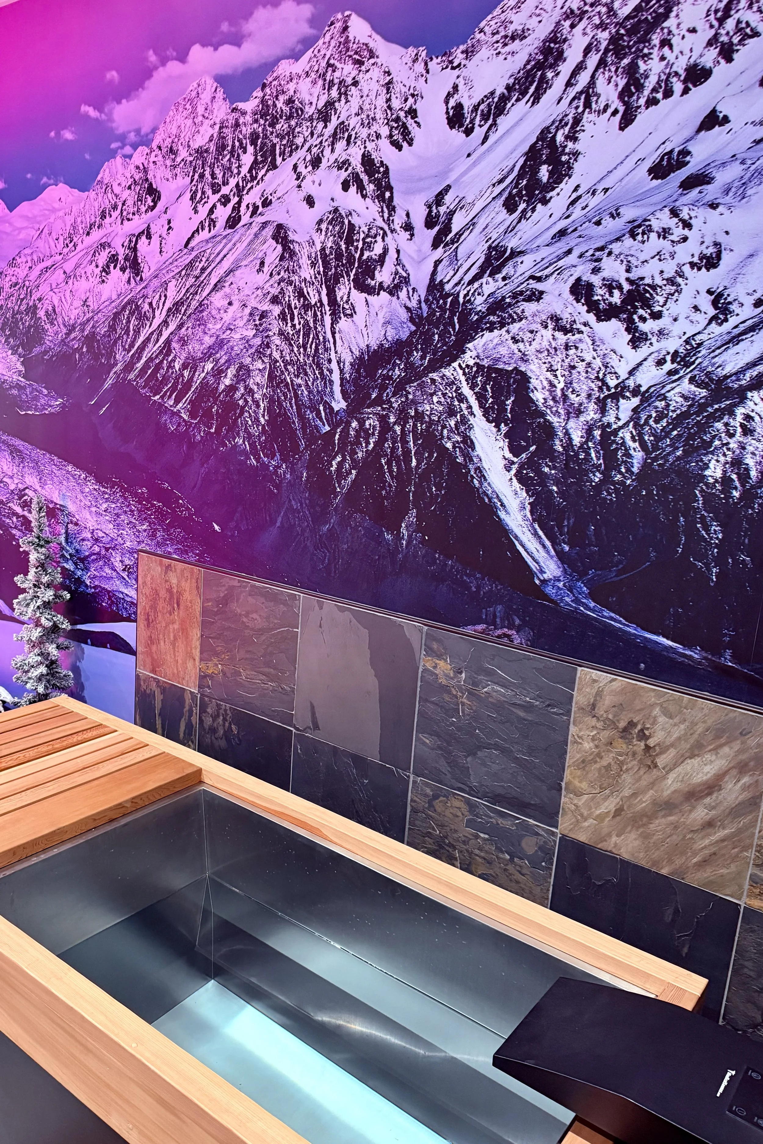 Cold plunge therapy tub inside The Mountains spa recovery room at The Nature of Health in Gilbert, AZ