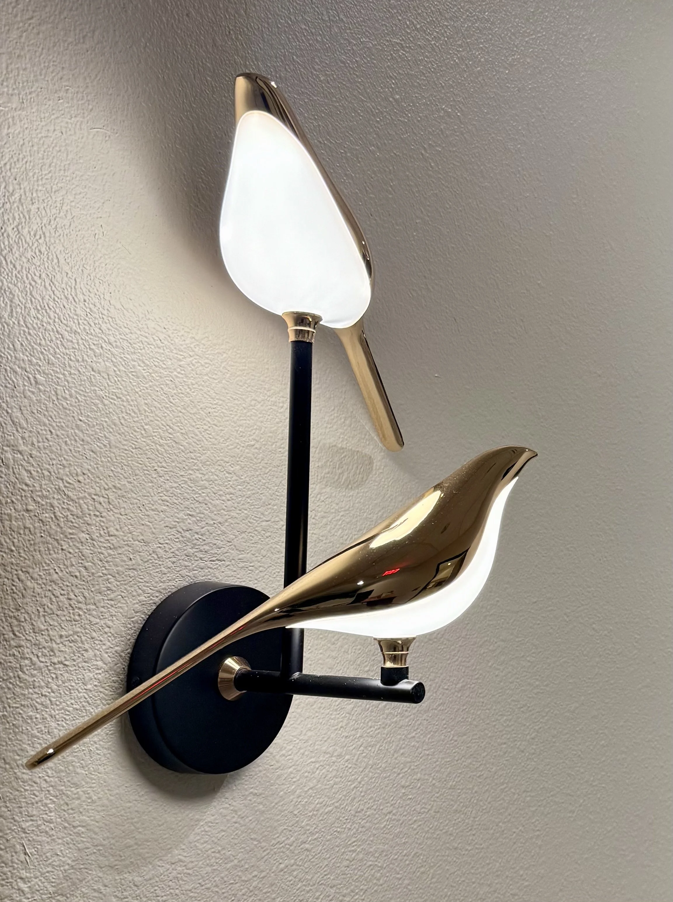 Nature-inspired bird wall light fixture at The Nature of Health in Gilbert, AZ