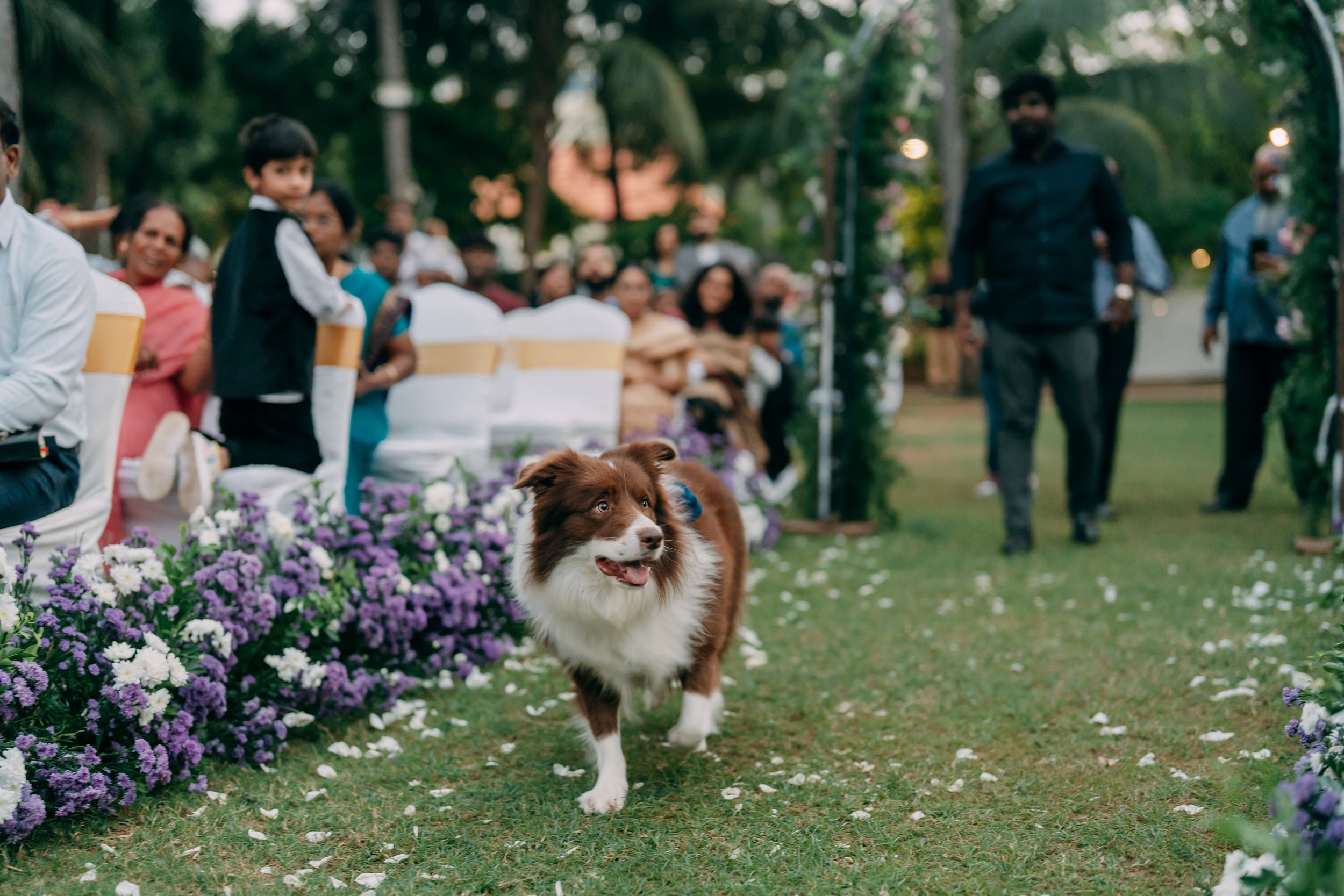 PM_DOL+JOS02535 .JPG