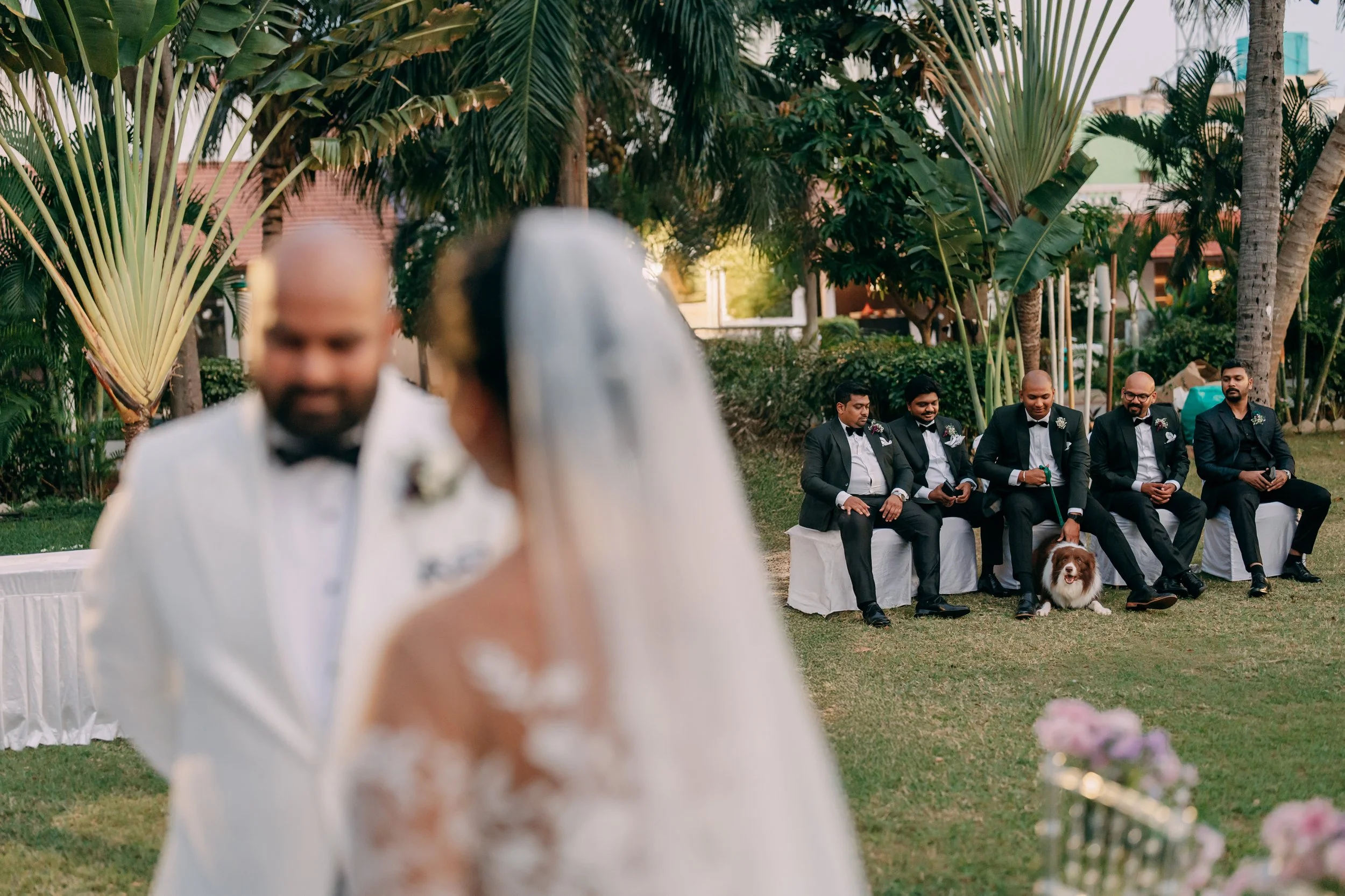 PM_DOL+JOS02686 .JPG