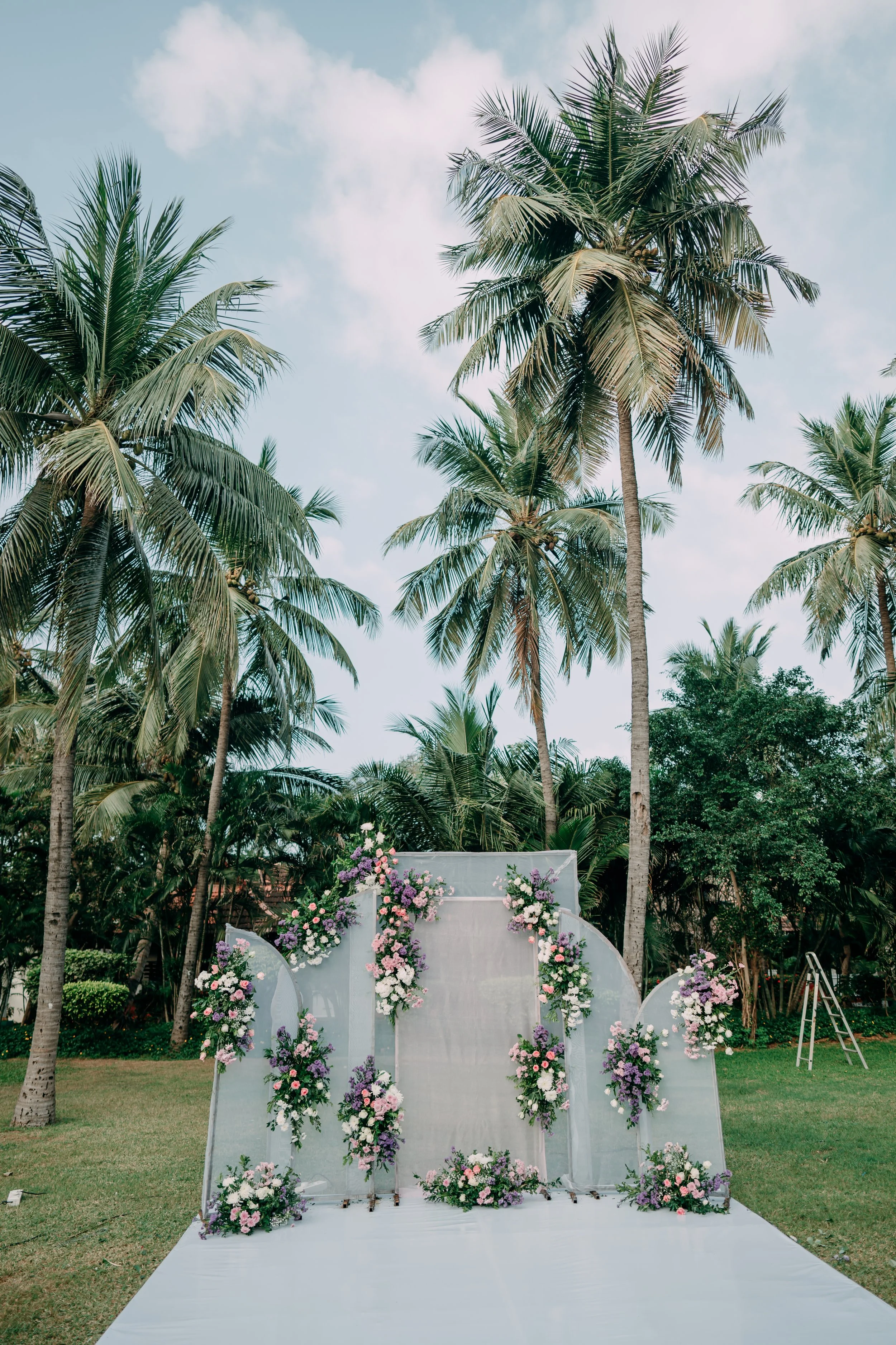 PM_DOL+JOS01010 .JPG