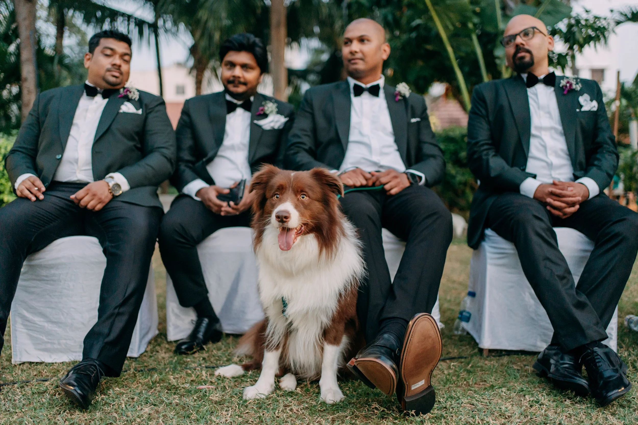 PM_DOL+JOS02670 .JPG