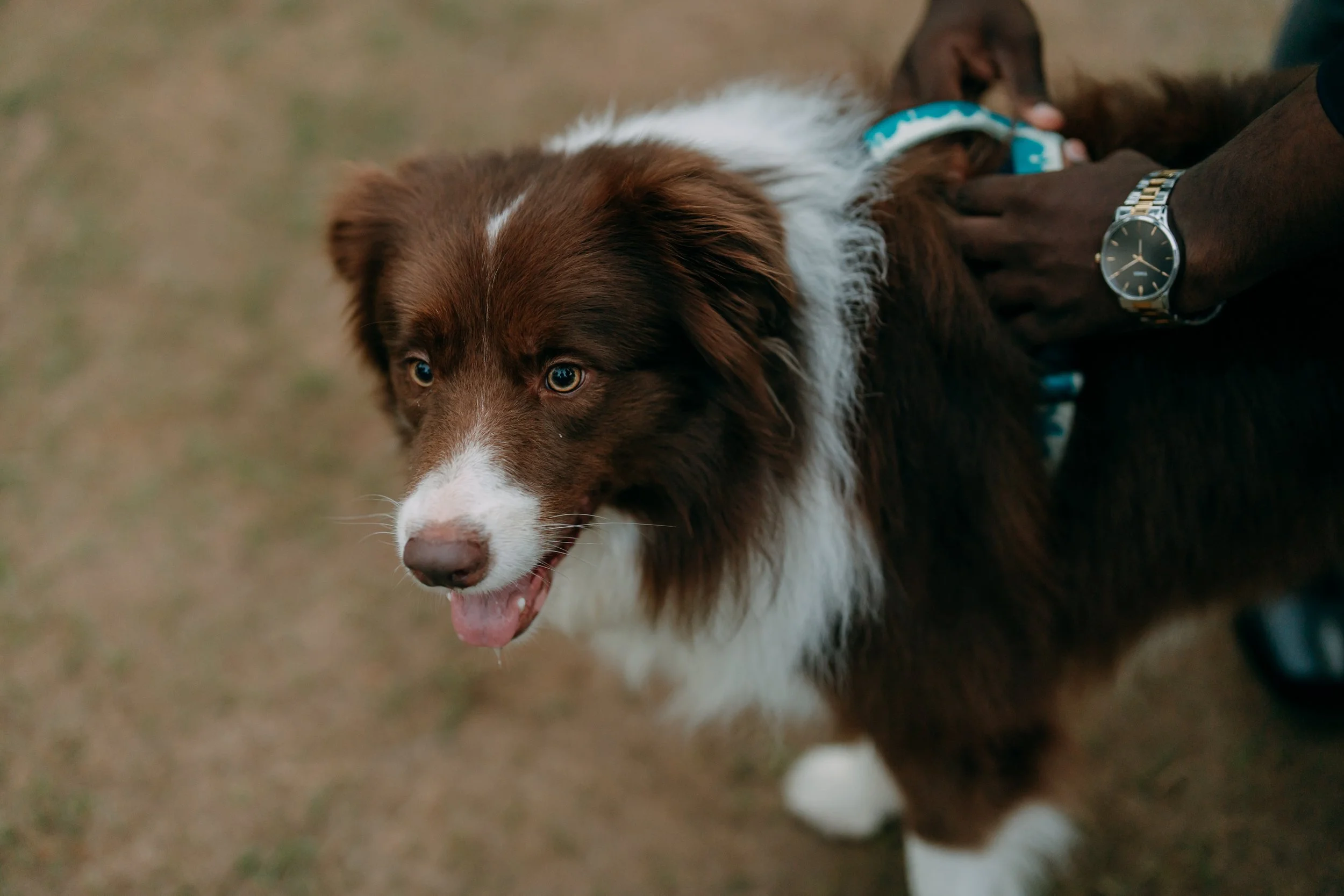 PM_DOL+JOS02525 .JPG