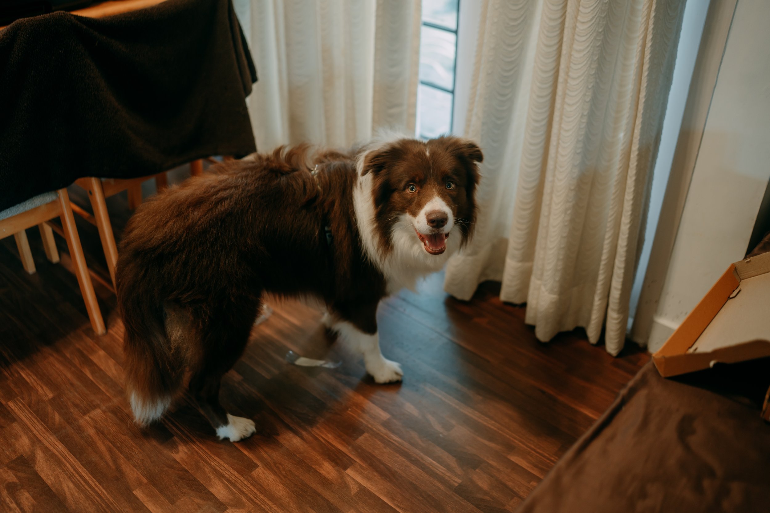 PM_DOL+JOS00004 .JPG