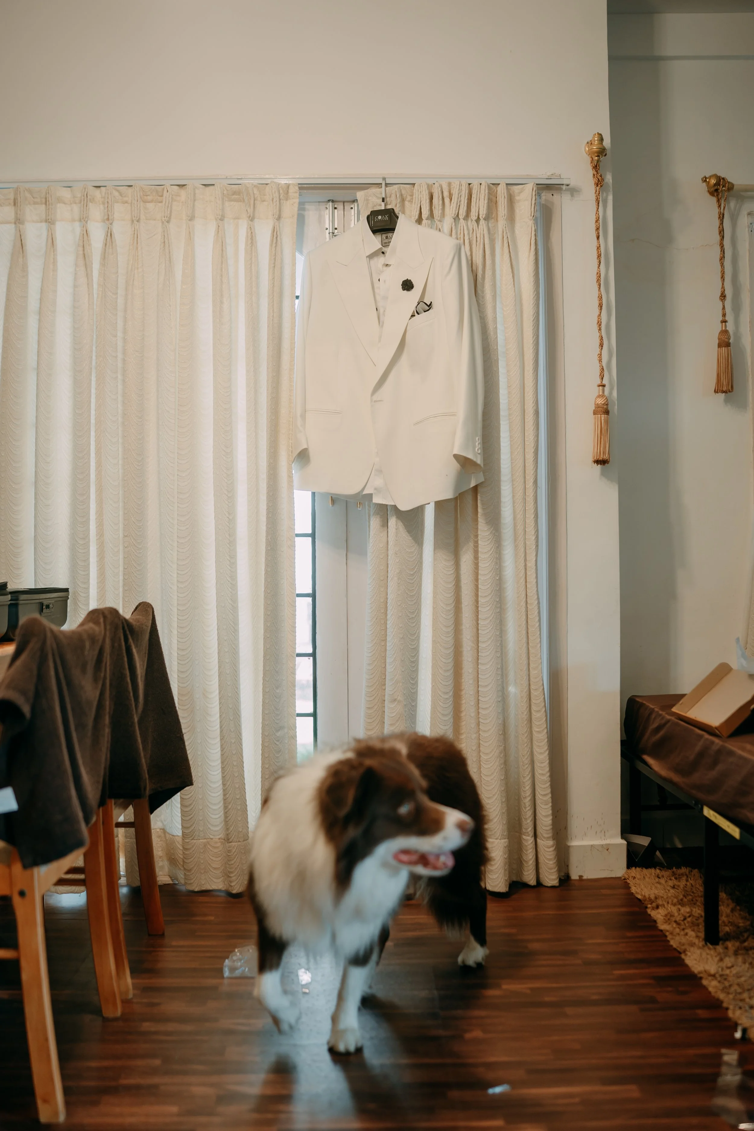 PM_DOL+JOS00011 .JPG