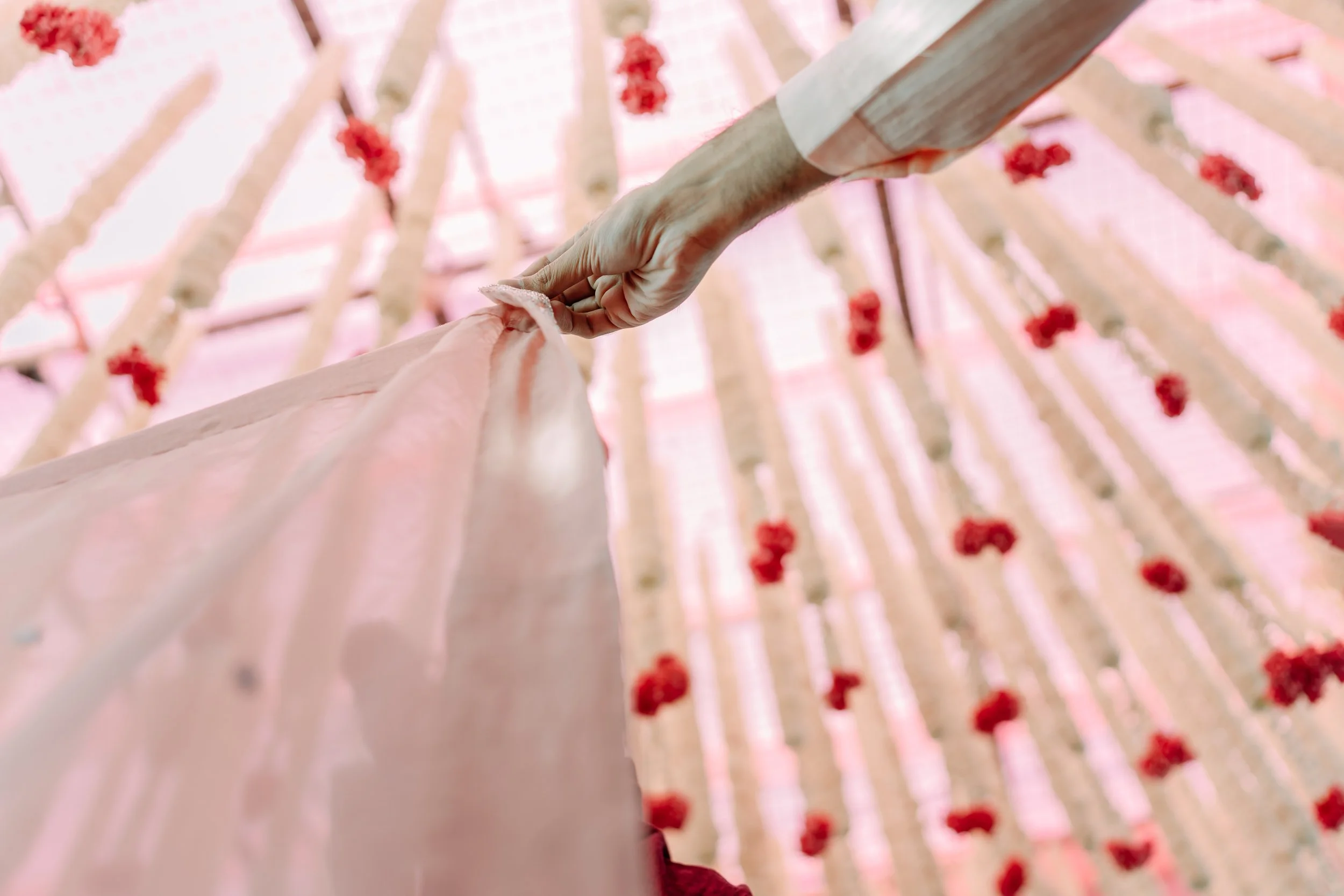 MEG+KOV_PM16404 .JPG