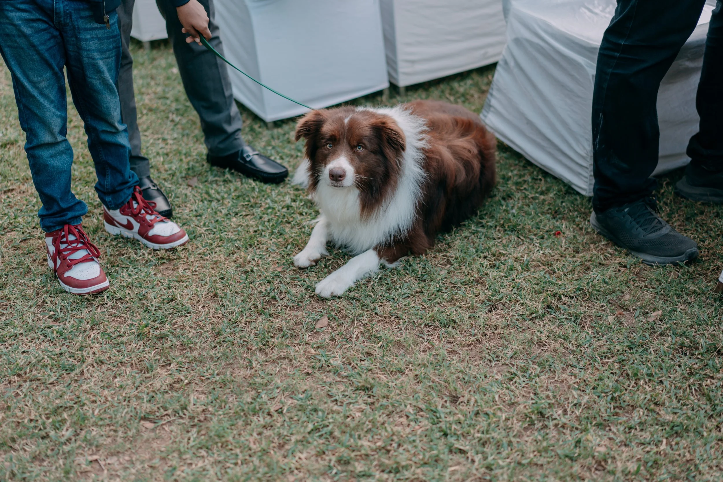 PM_DOL+JOS01666 .JPG