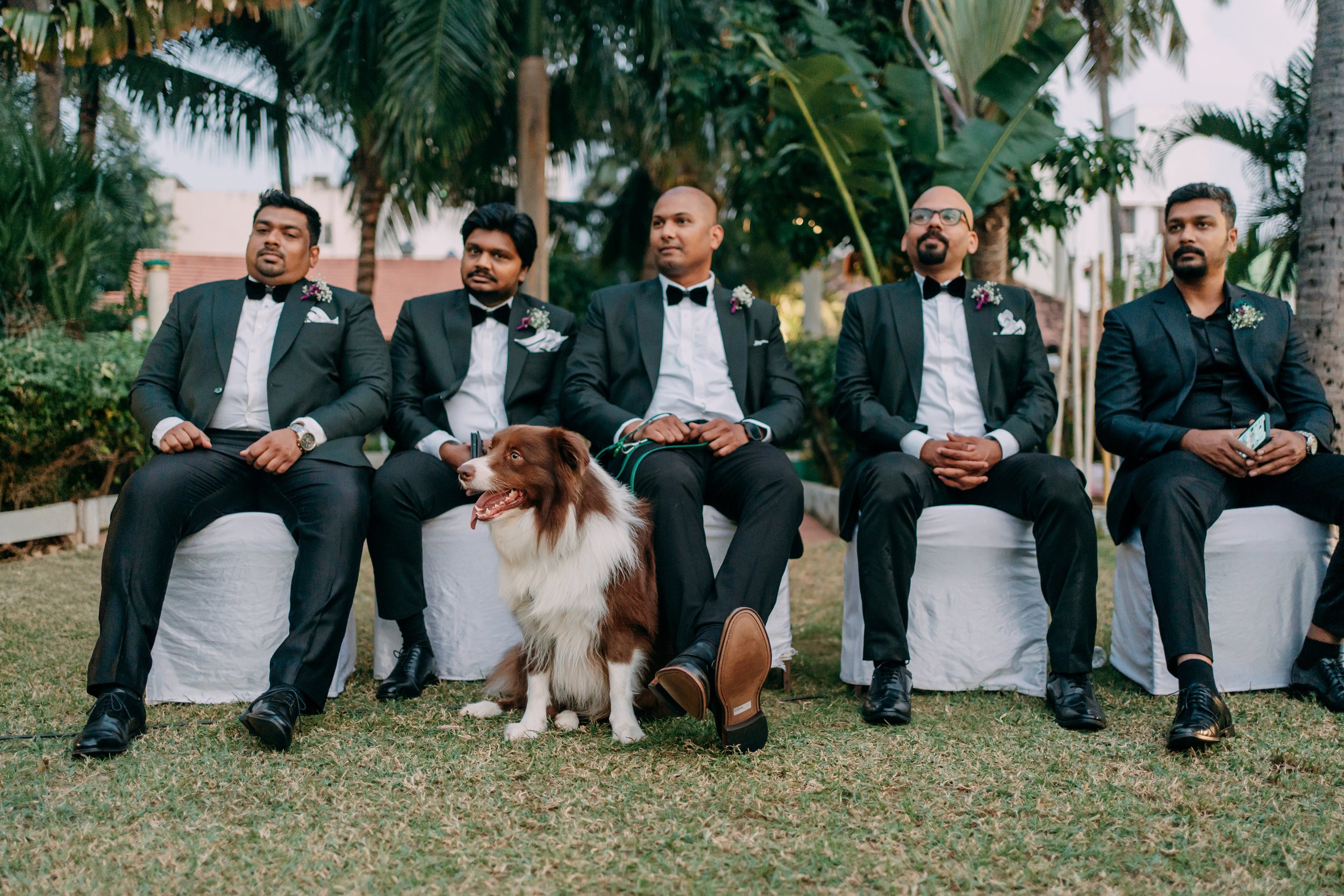 PM_DOL+JOS02662 .JPG