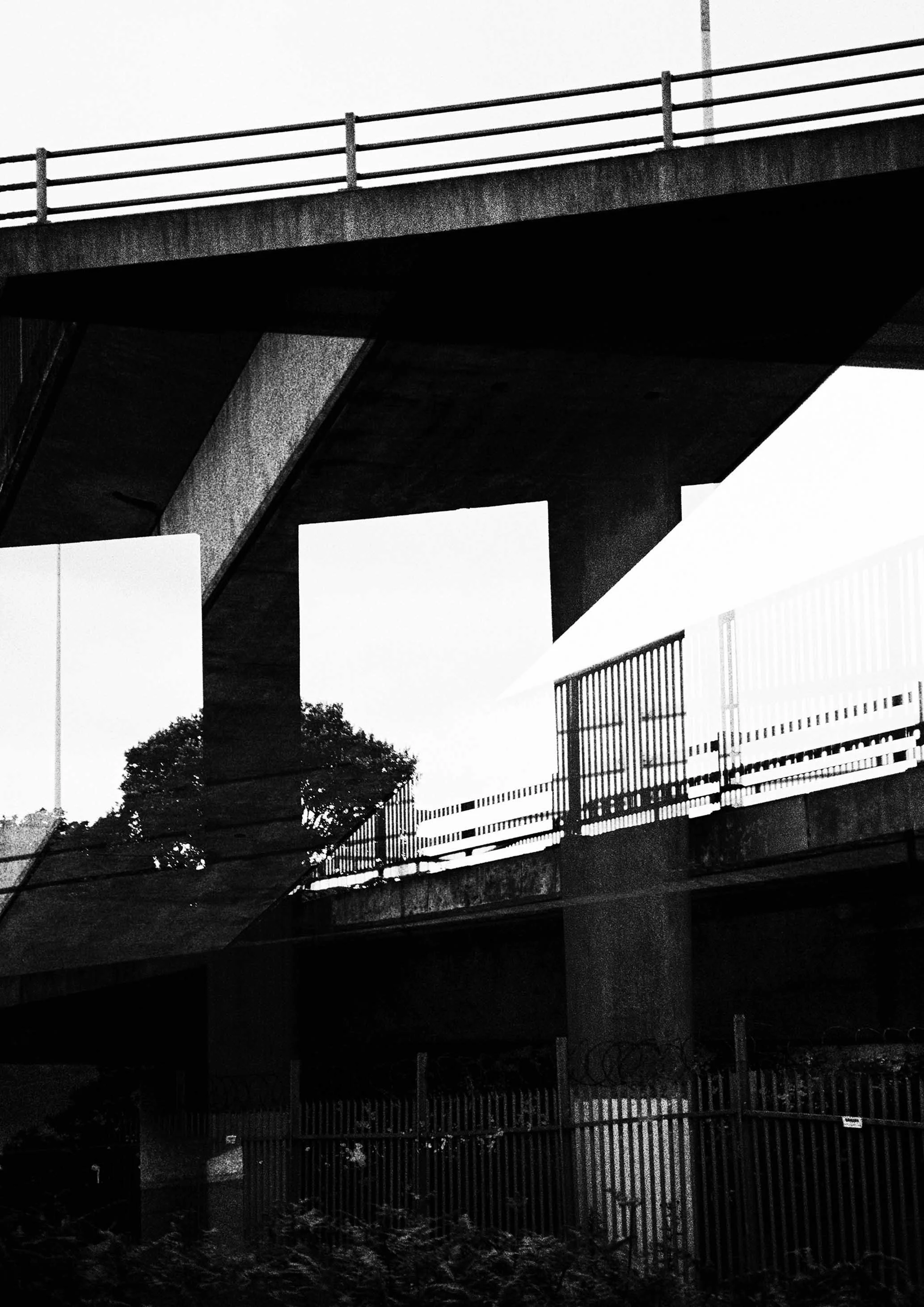 ---_0010_IMG_1666.jpg