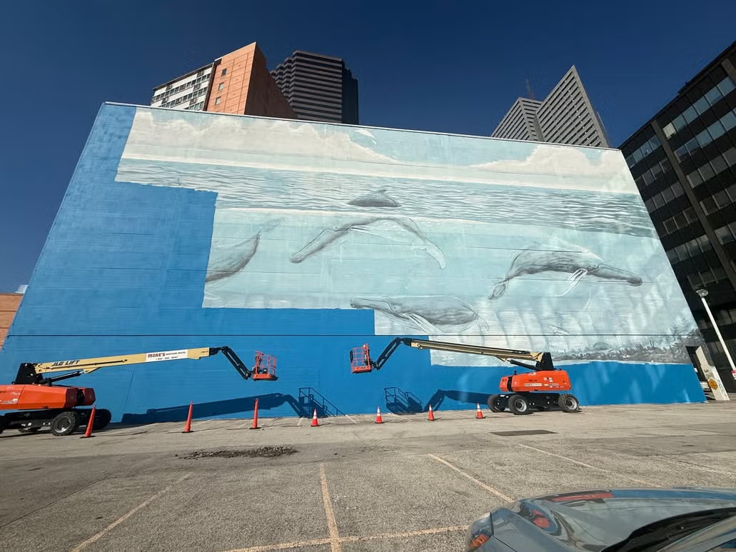 Wyland’s landmark Ocean Life mural hand it over with two cranes in the foreground