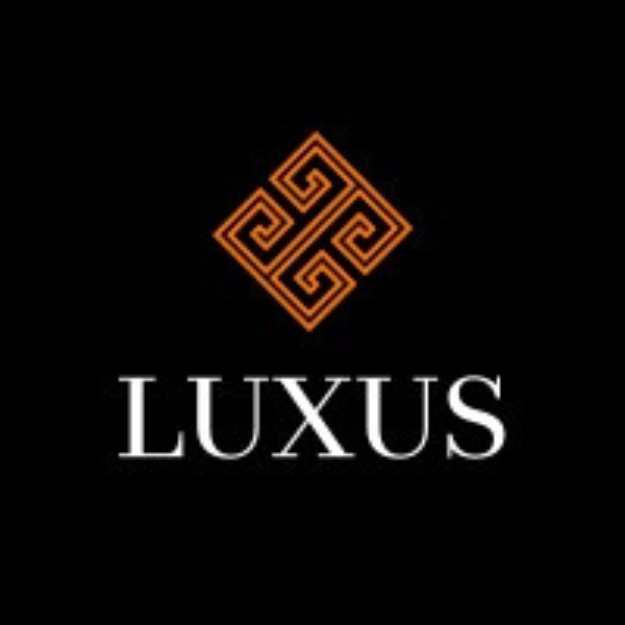 The brand identity for LUXUS, a luxury alternative asset management firm, highlighting its strategic partnership with Christie's auction house.