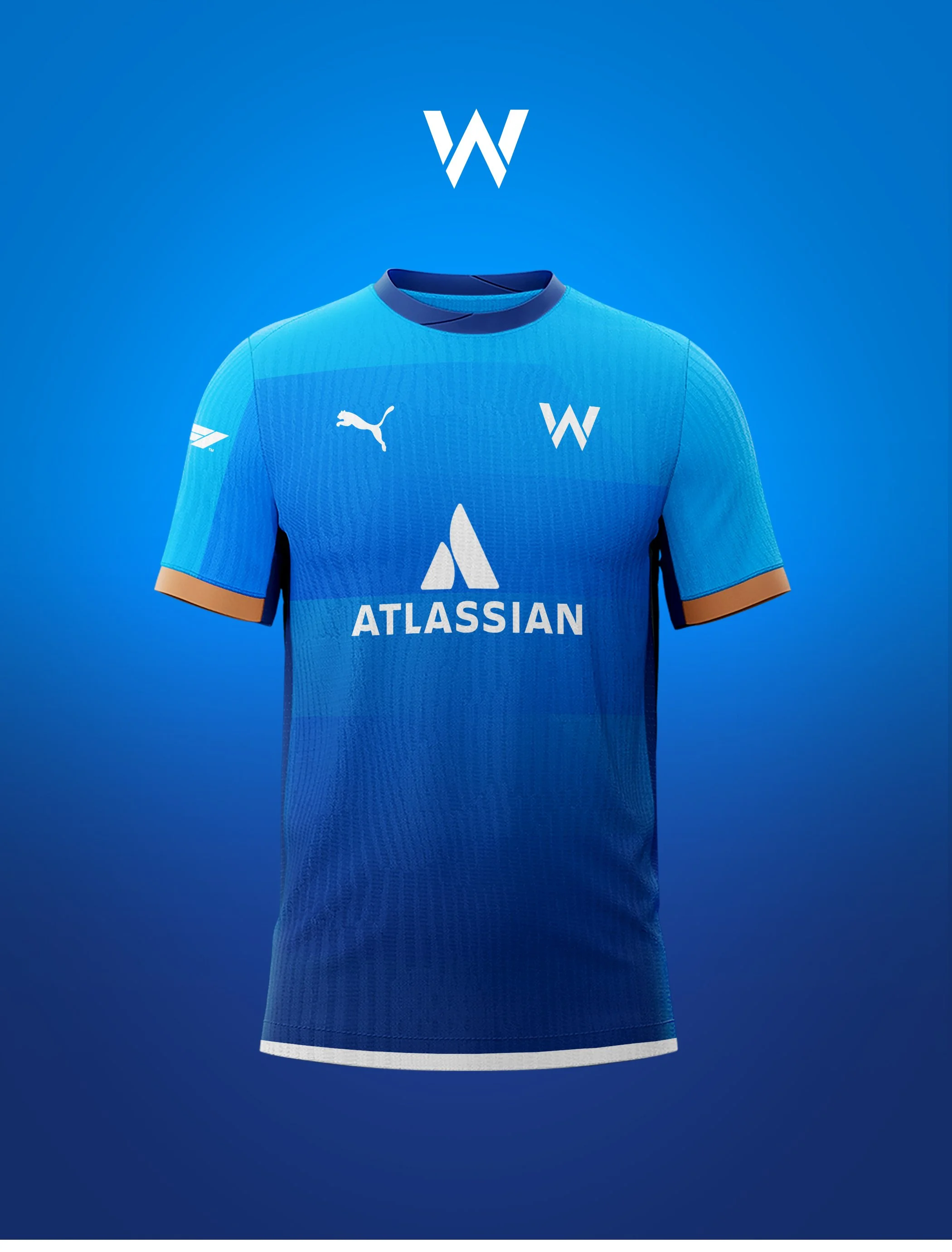 Maillot_F1_Williams.jpg