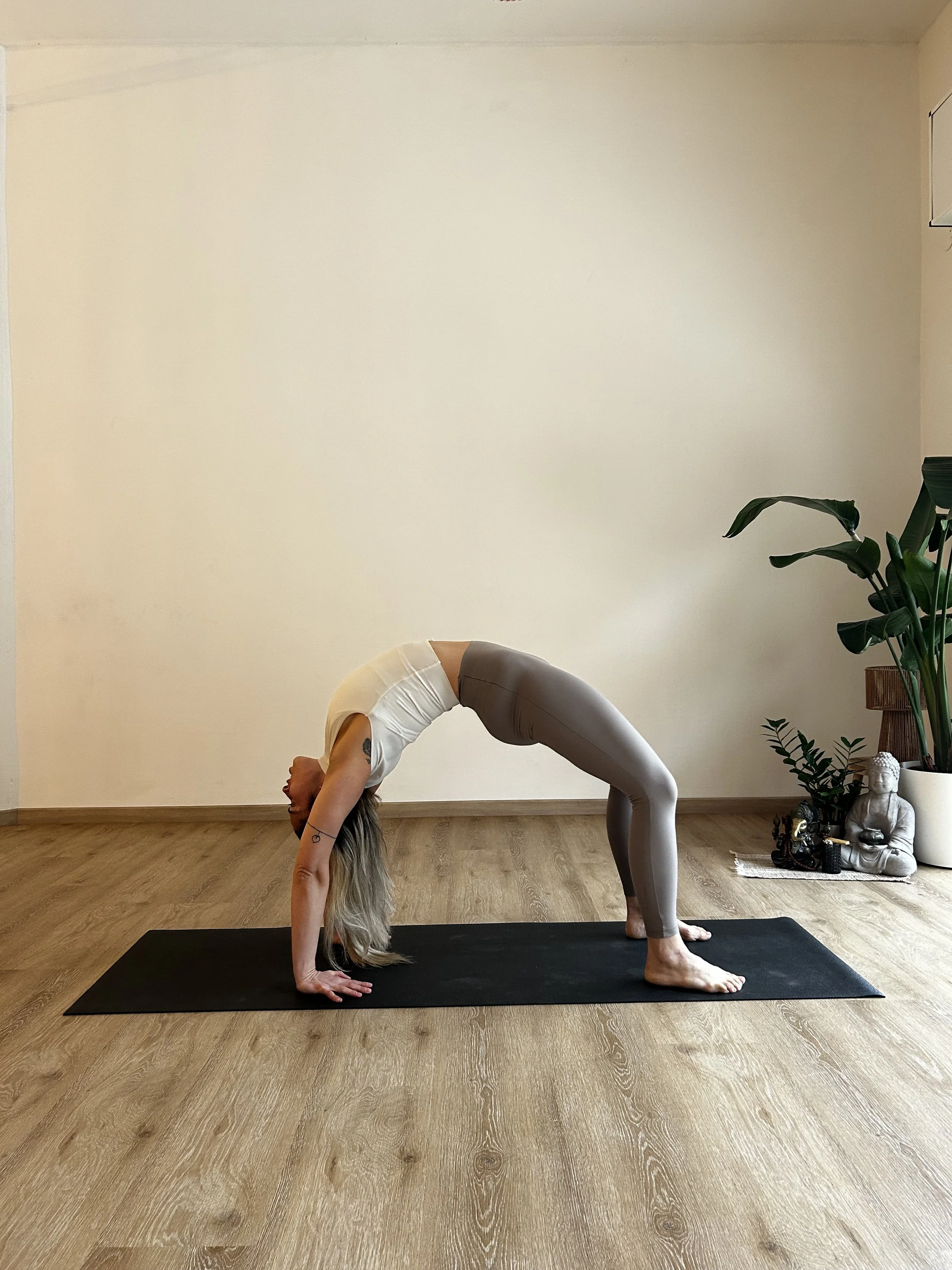 ASANA FUNDAMENTALS - Urdhva Dhanurasana
