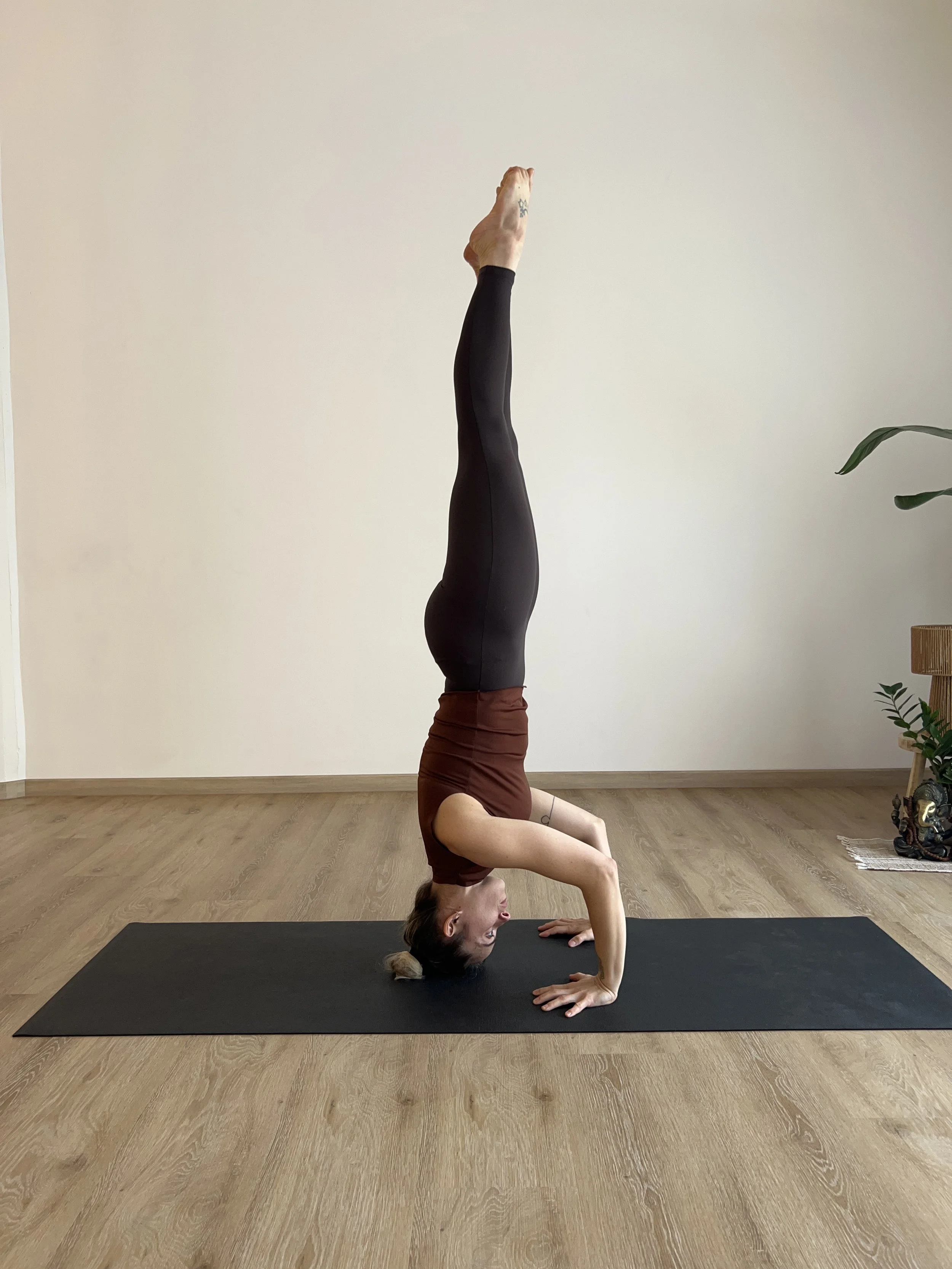 ASANA FUNDAMENTALS 4