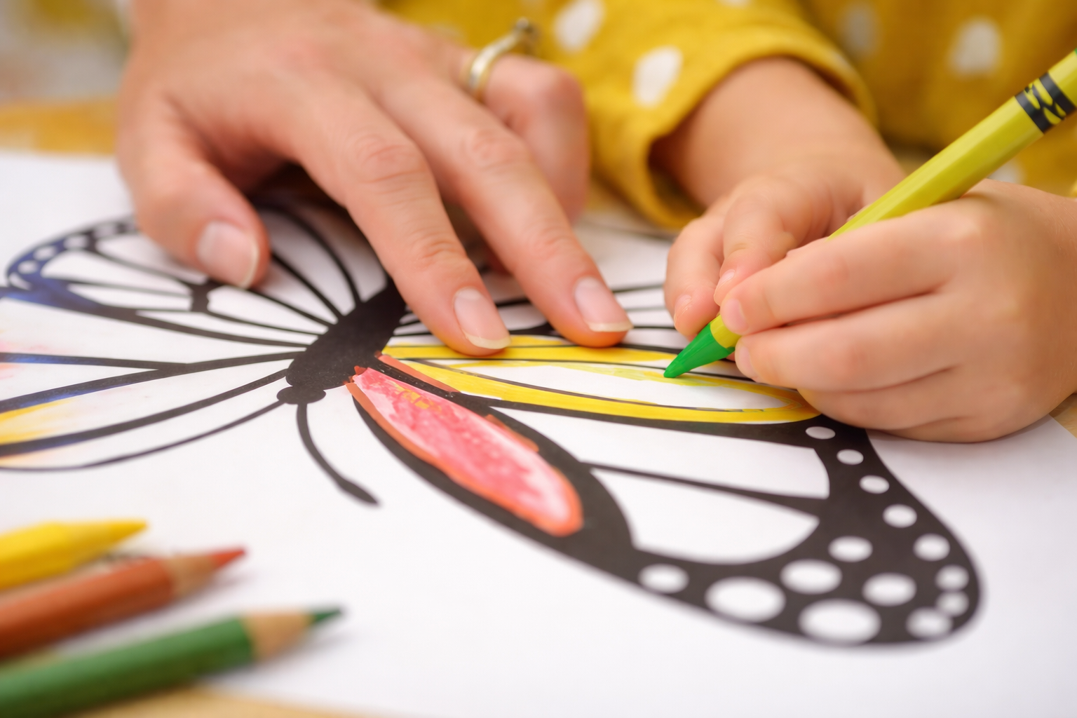 Förderung & Entwicklung