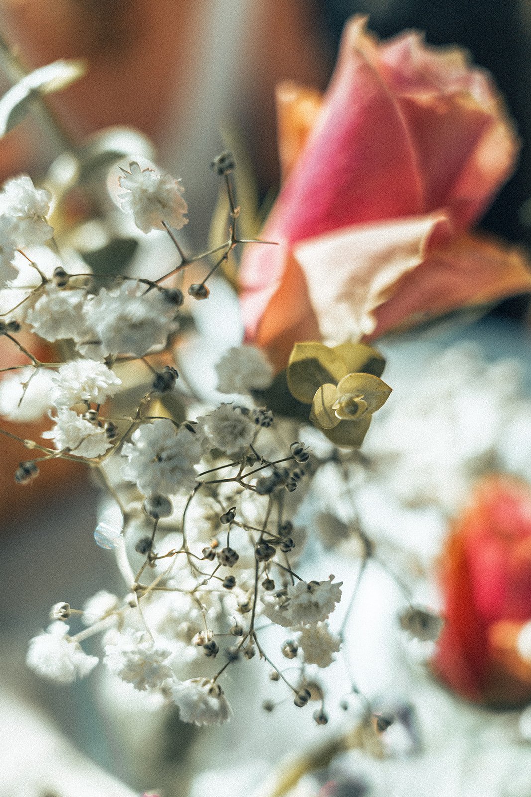 Leonie & Fabian-128_websize.jpg