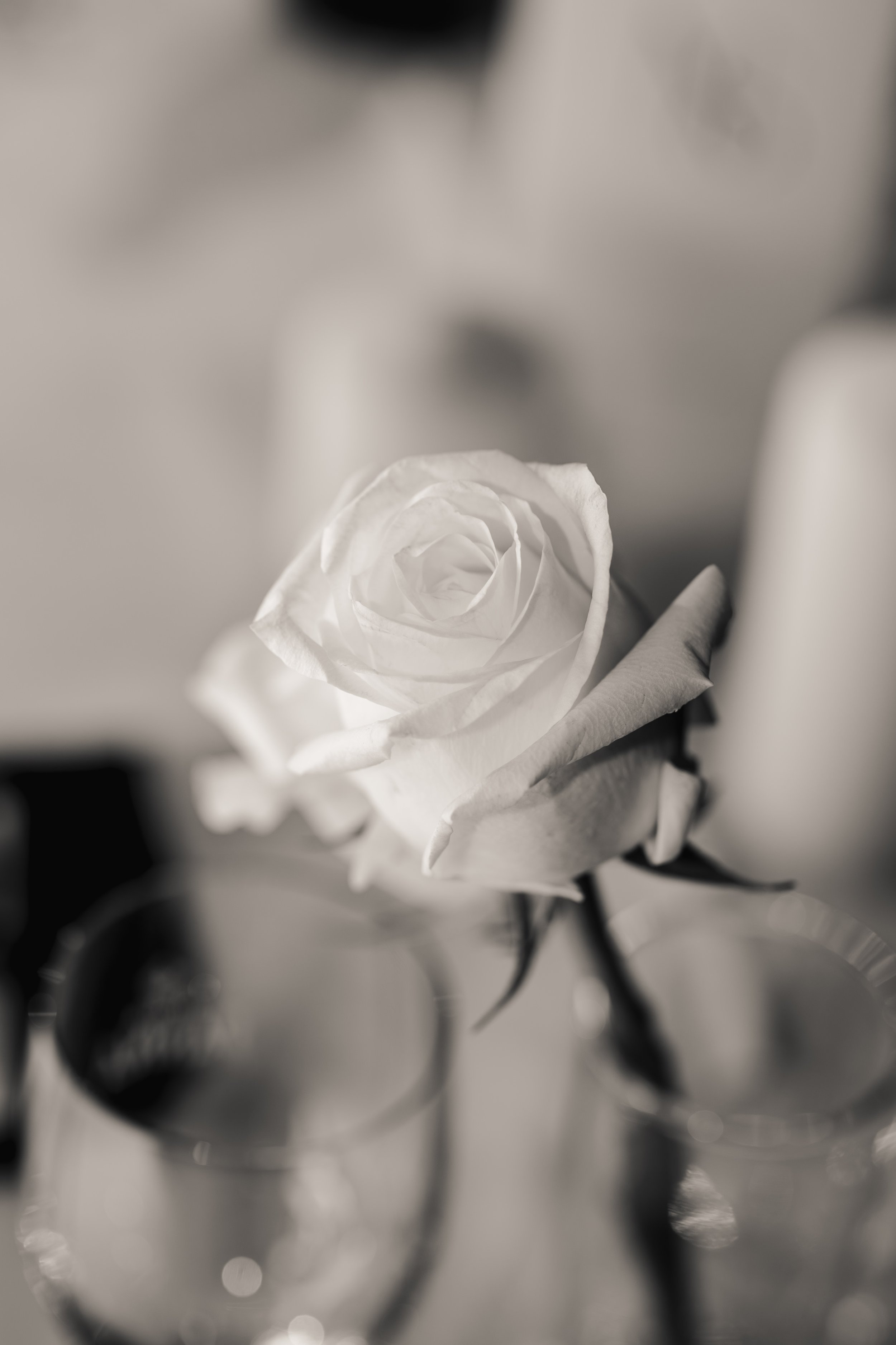 Nina & Stefan-29.jpg
