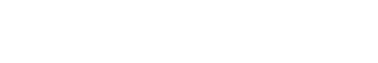 ANAMORPHIC