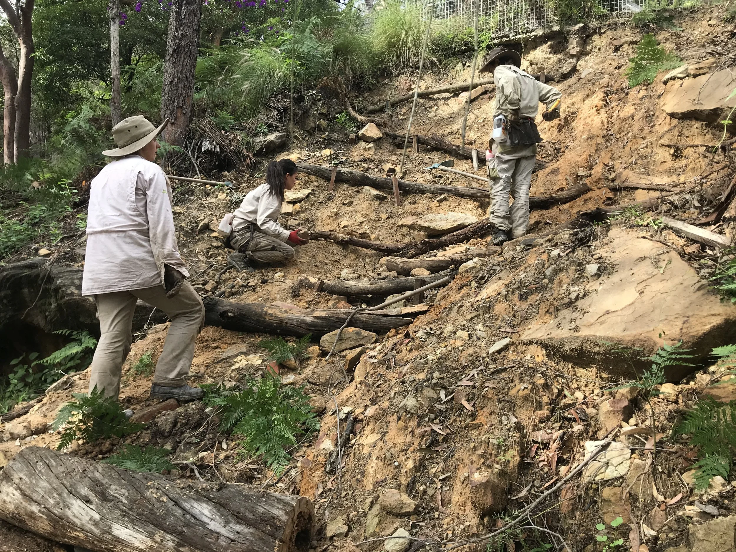 Erosion Control Using Site Available Materials