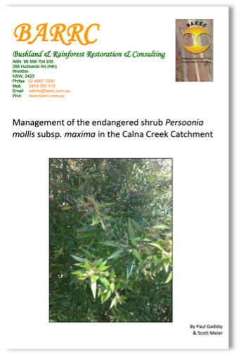 Plan for Recovery of Endangered shrub Persoonia mollis subsp. maxima