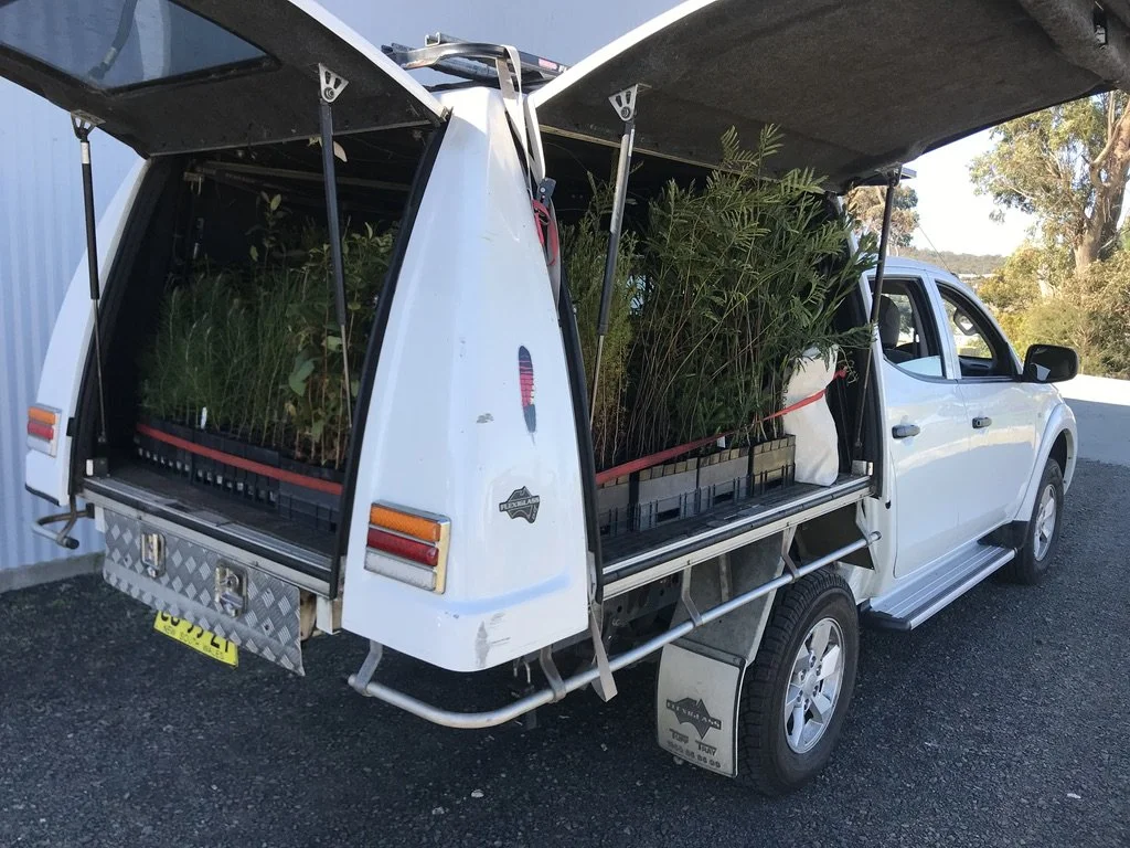 Plant Supply & Installation