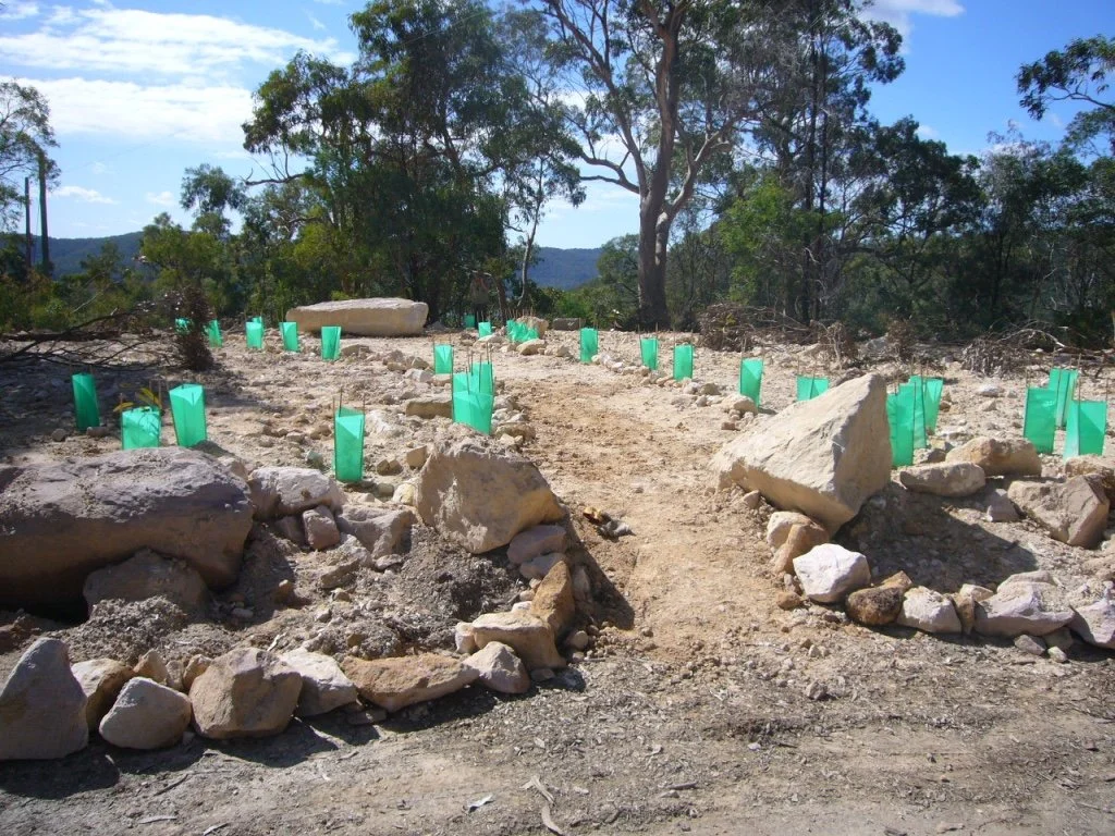 Contaminated Lands Capping, Rock Placement & Planting