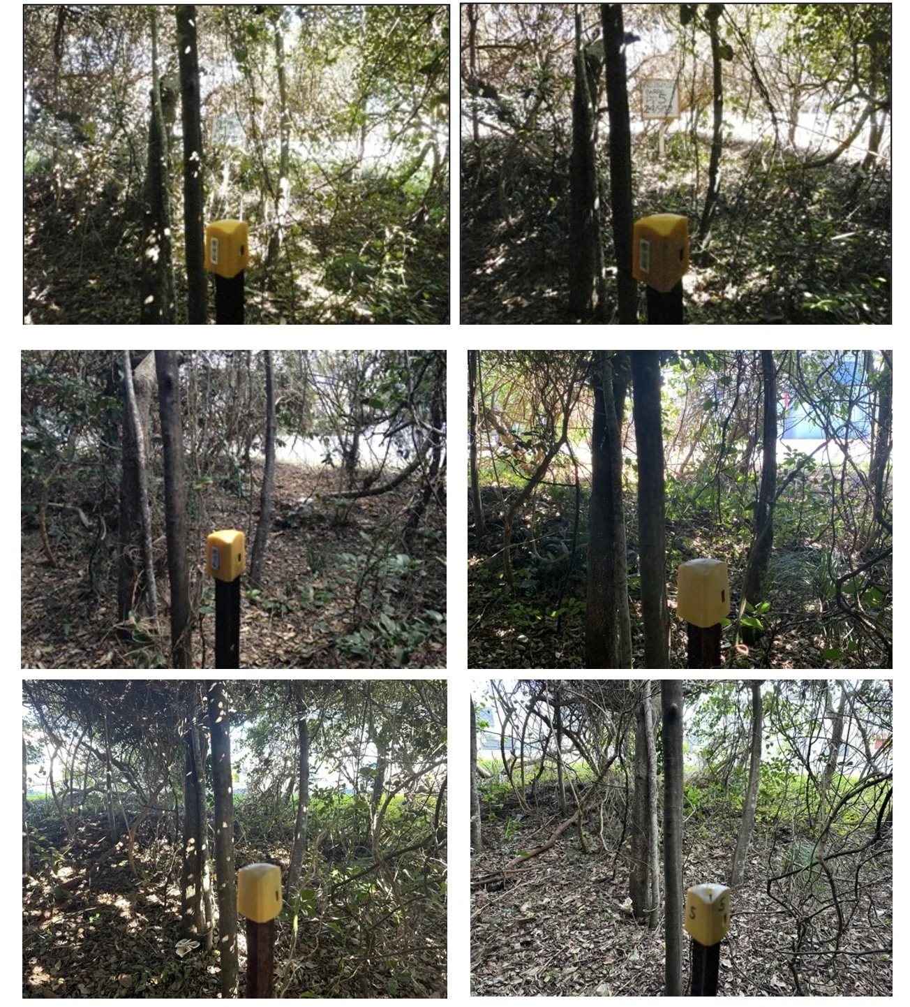 SCreenshot of %22Photographic Monitoring & Data Capture%22.jpg