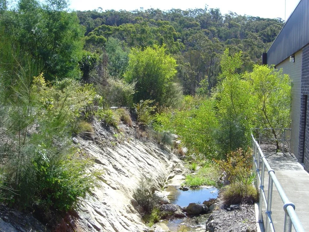 Peri-urban Stormwater Construction & Revegetation