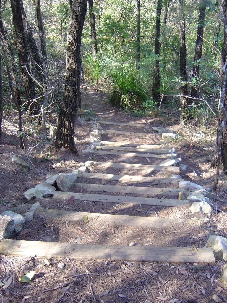 Bar Step Installation for Walking Tracks