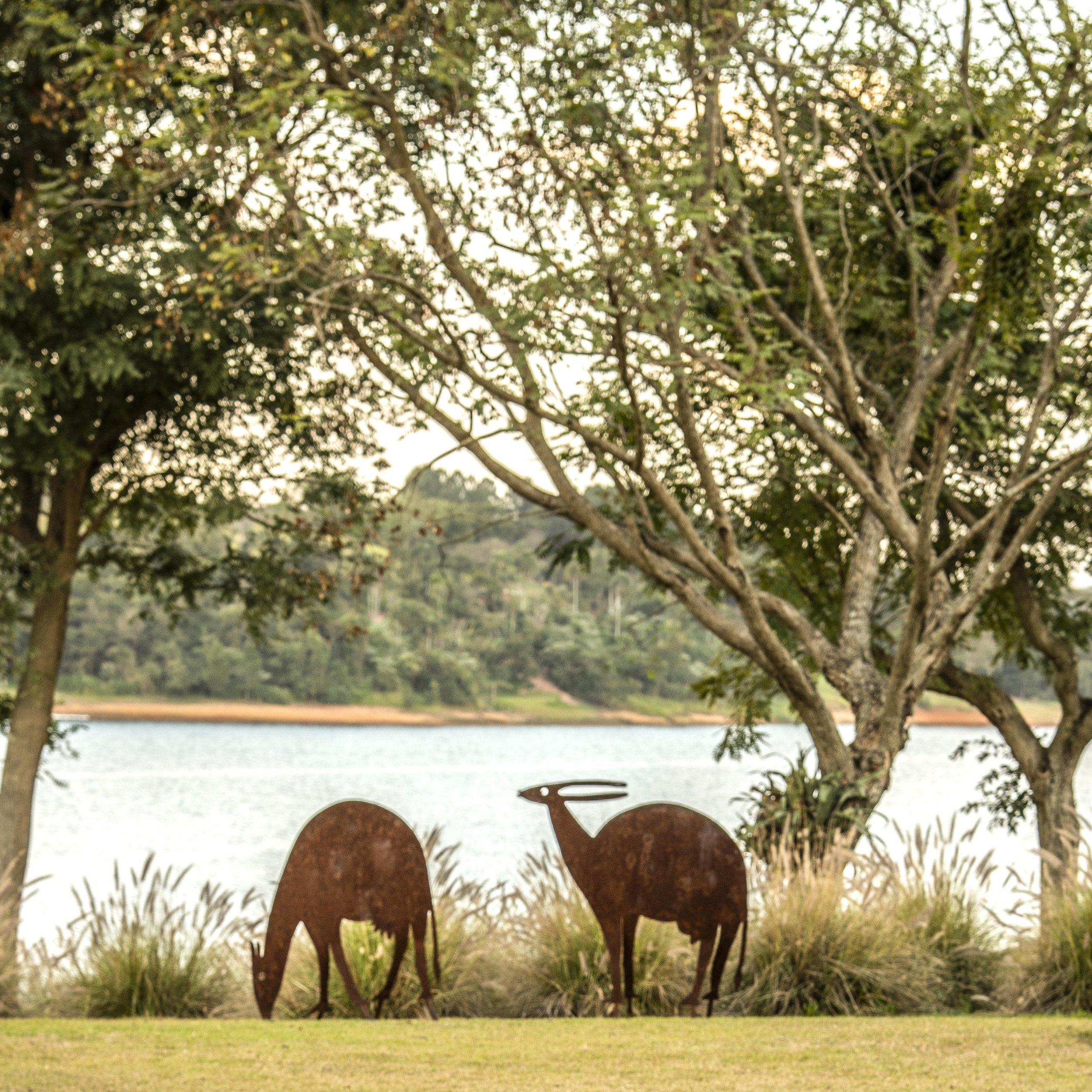 DSC_4241ok - cópia.jpg